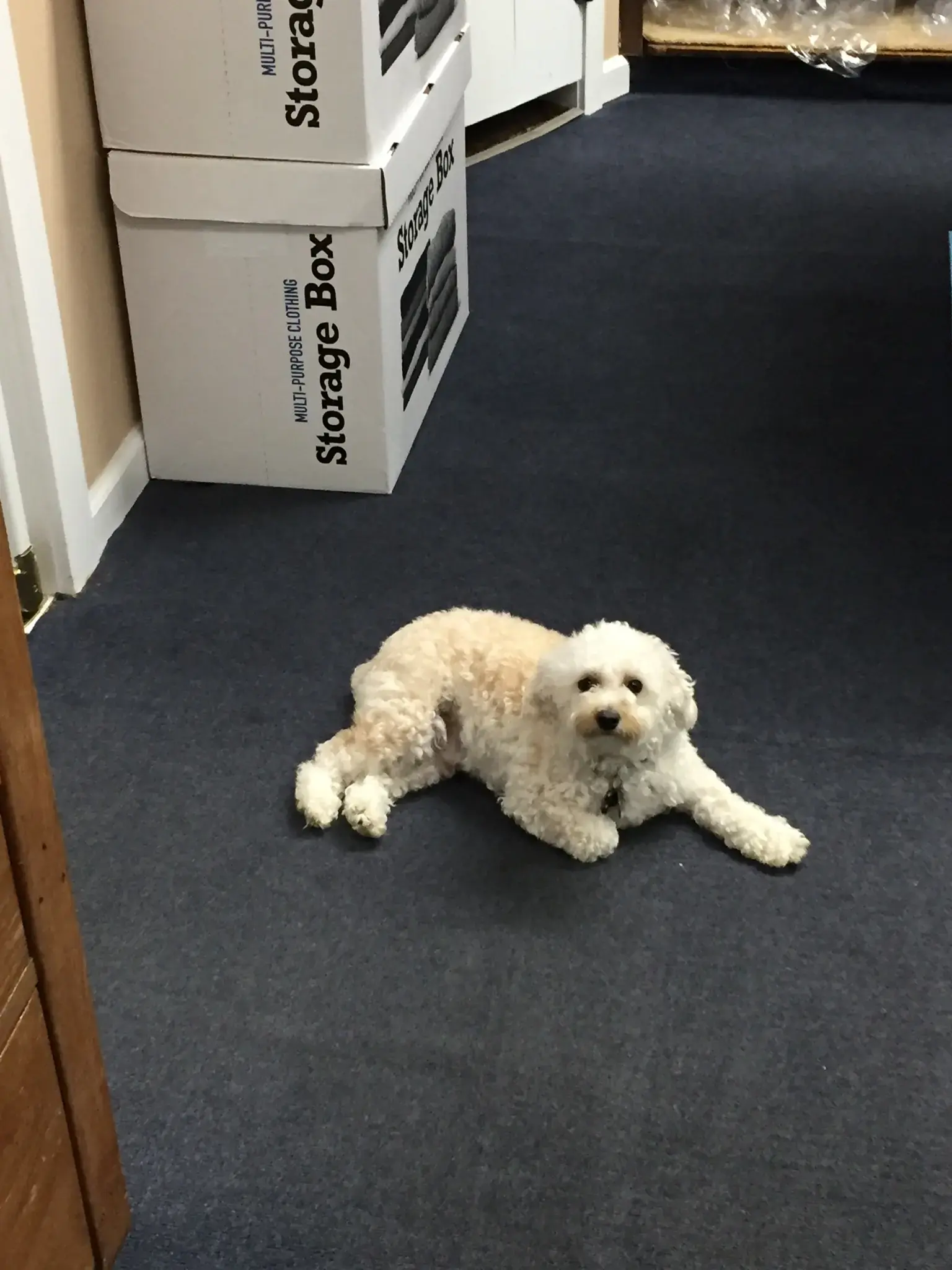 Chappaqua Cleaners & Tailors - Image 17