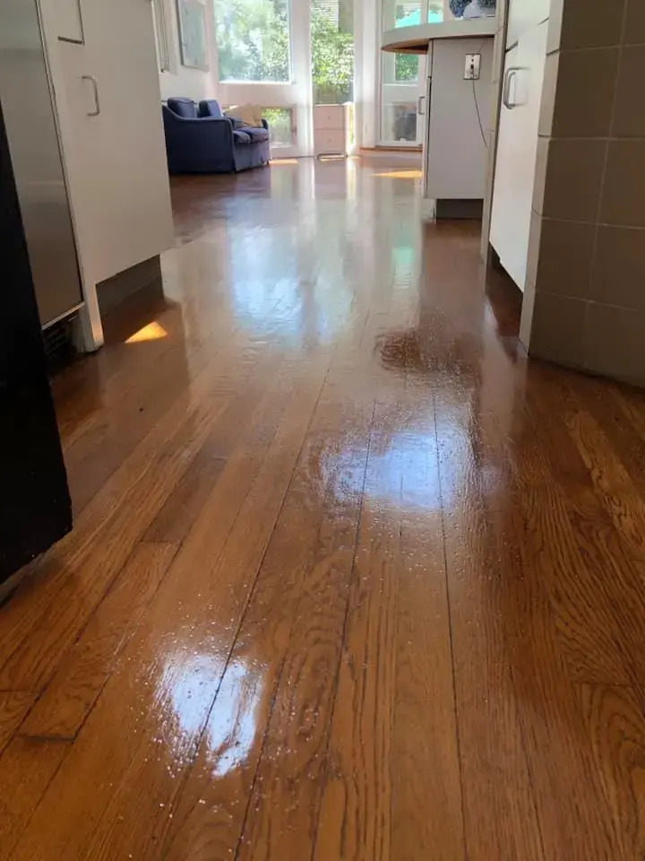 Chappaqua Cleaners & Tailors - Image 9