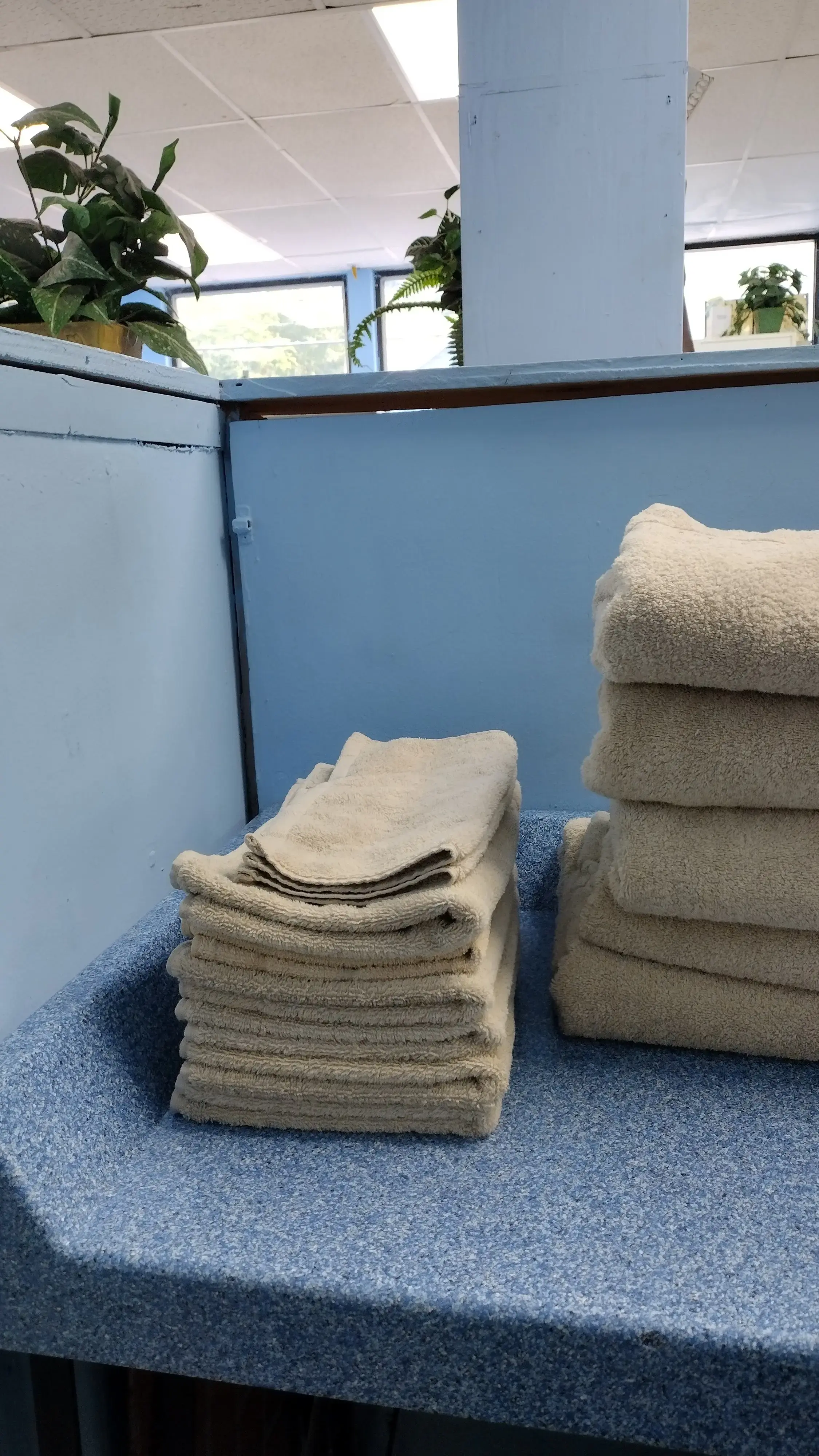 Charm01 Mobile Laundry Service LLC thumbnail 10