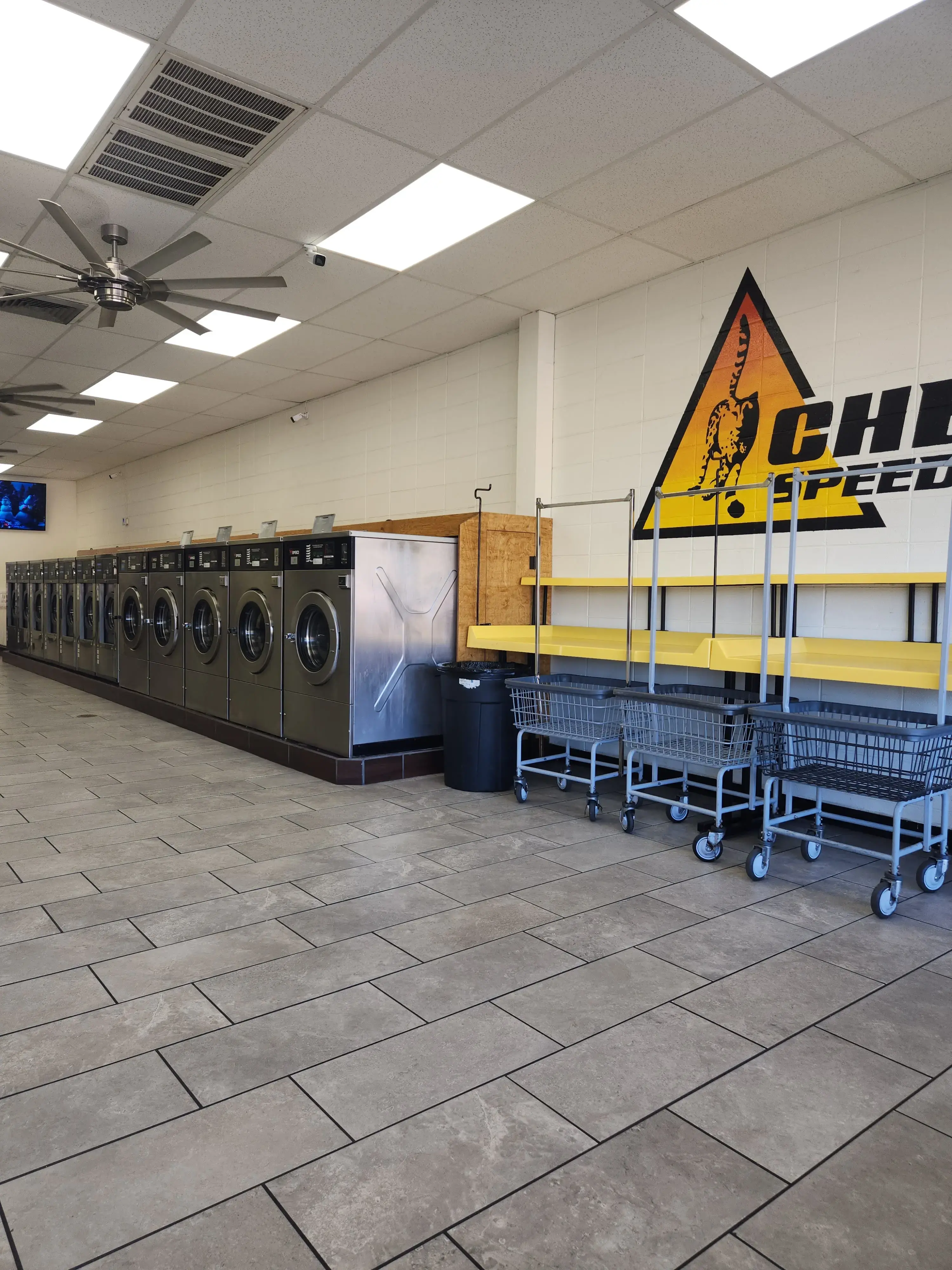 Cheetah Speed Laundry thumbnail 18