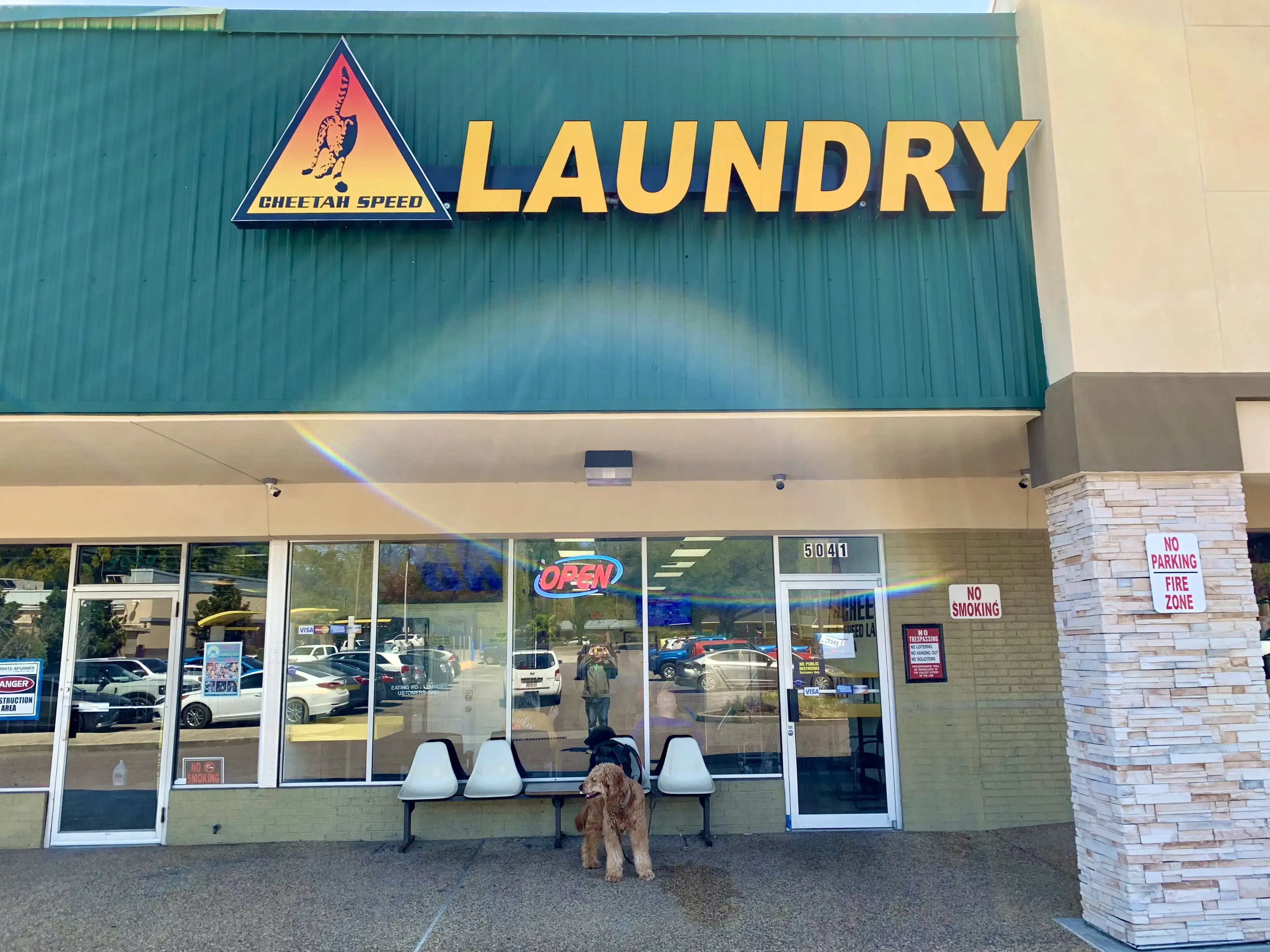 Cheetah Speed Laundry thumbnail 3