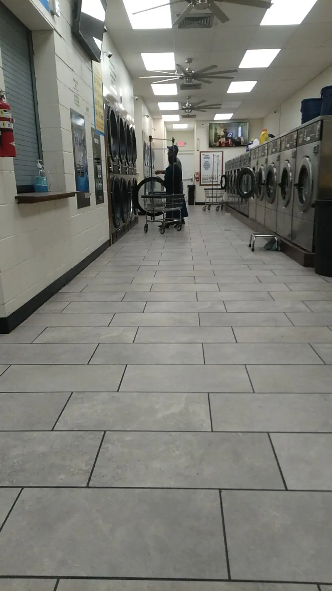 Cheetah Speed Laundry - Image 13