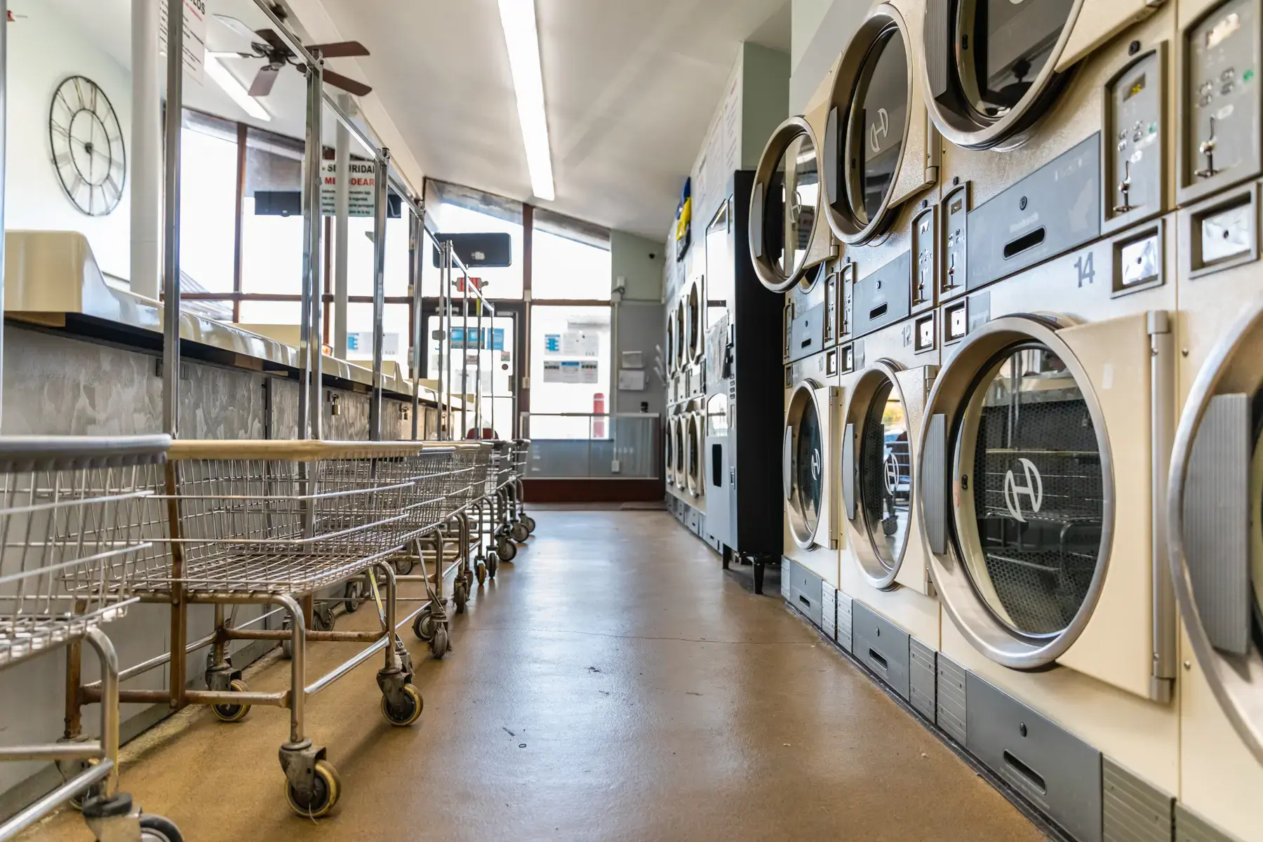 Cherry Orchard Laundromat thumbnail 5