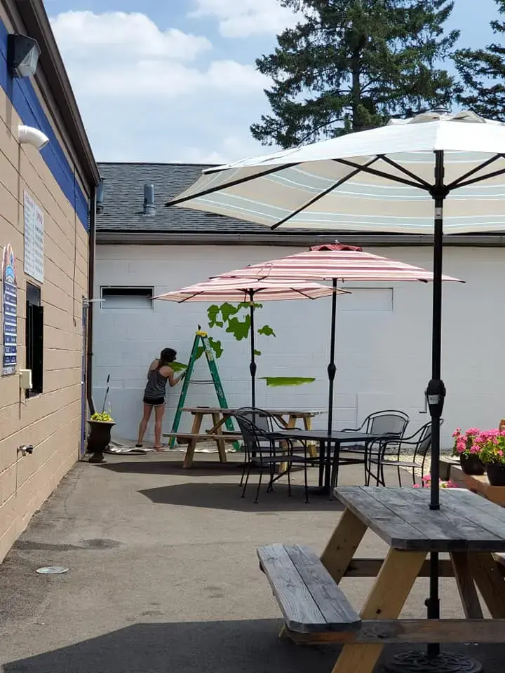 Cherry Valley Laundromat - Image 9