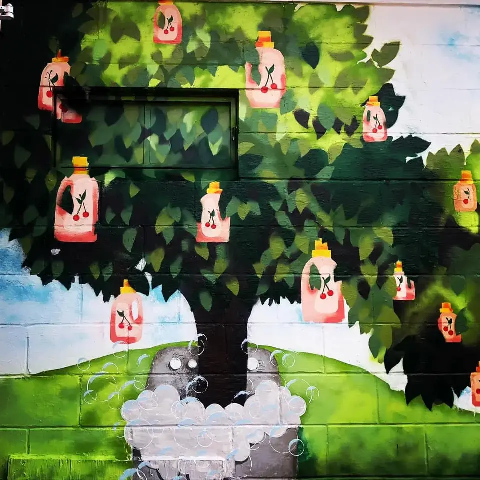 Cherry Valley Laundromat thumbnail 18