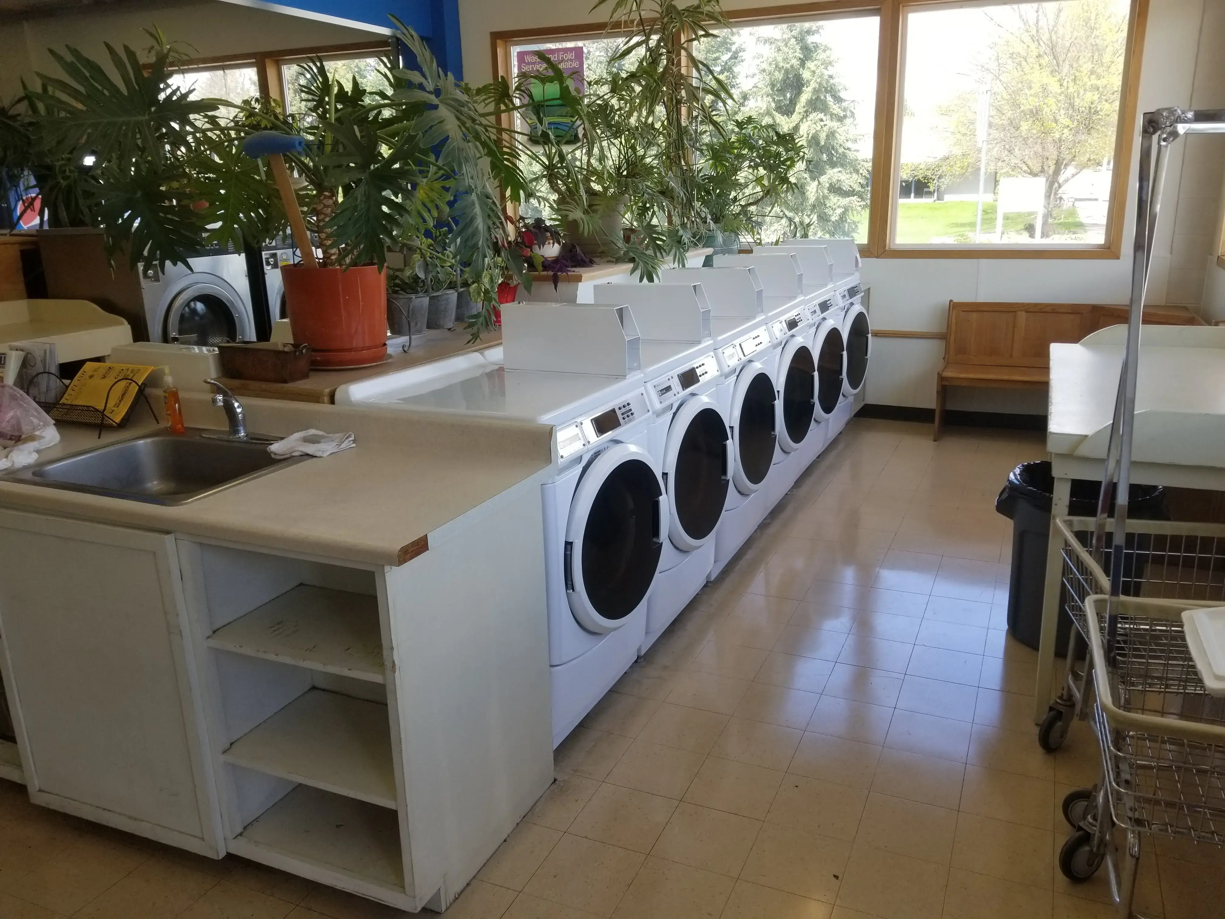 City Cleaners - Image 11