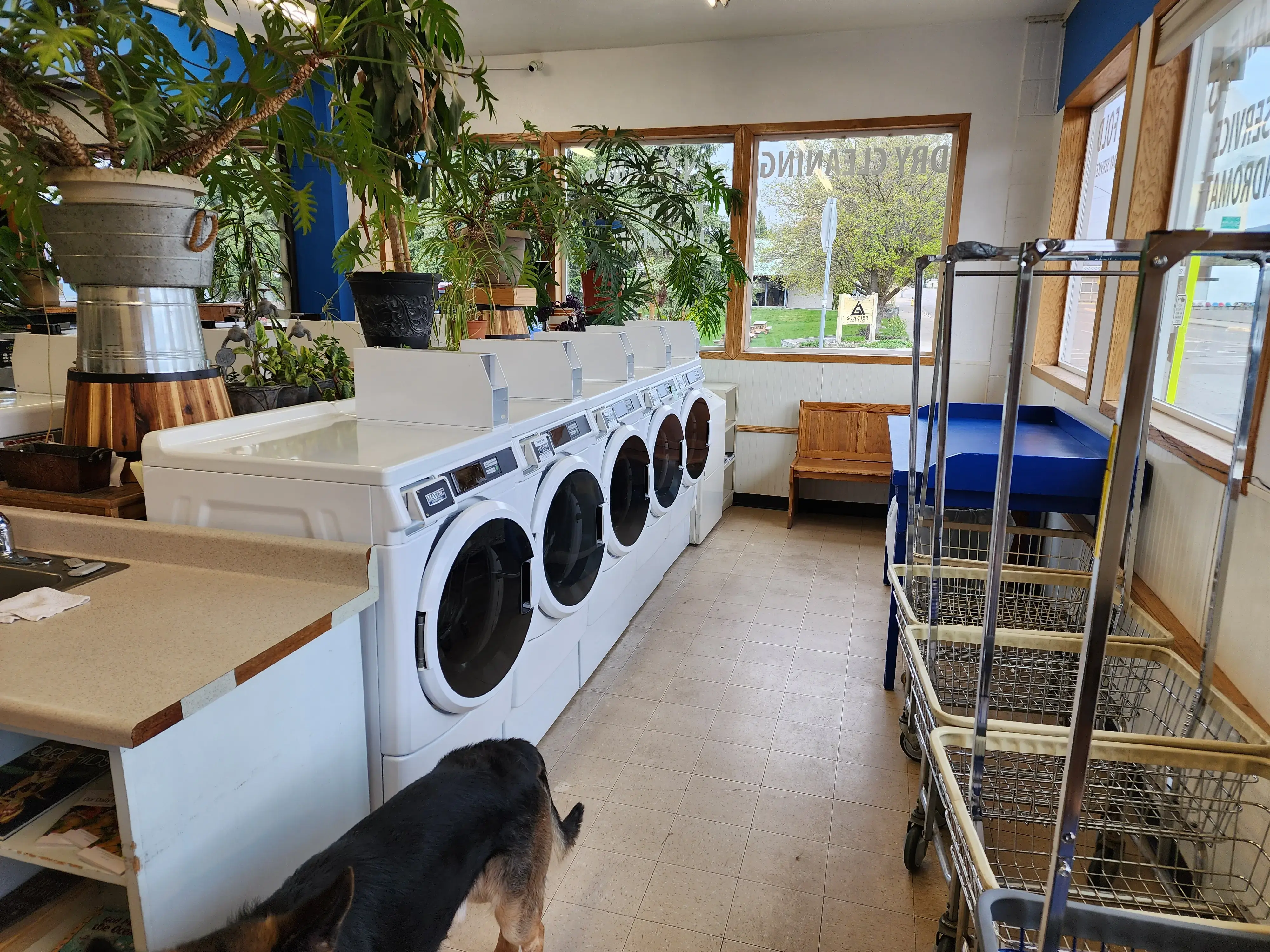 City Cleaners - Image 14