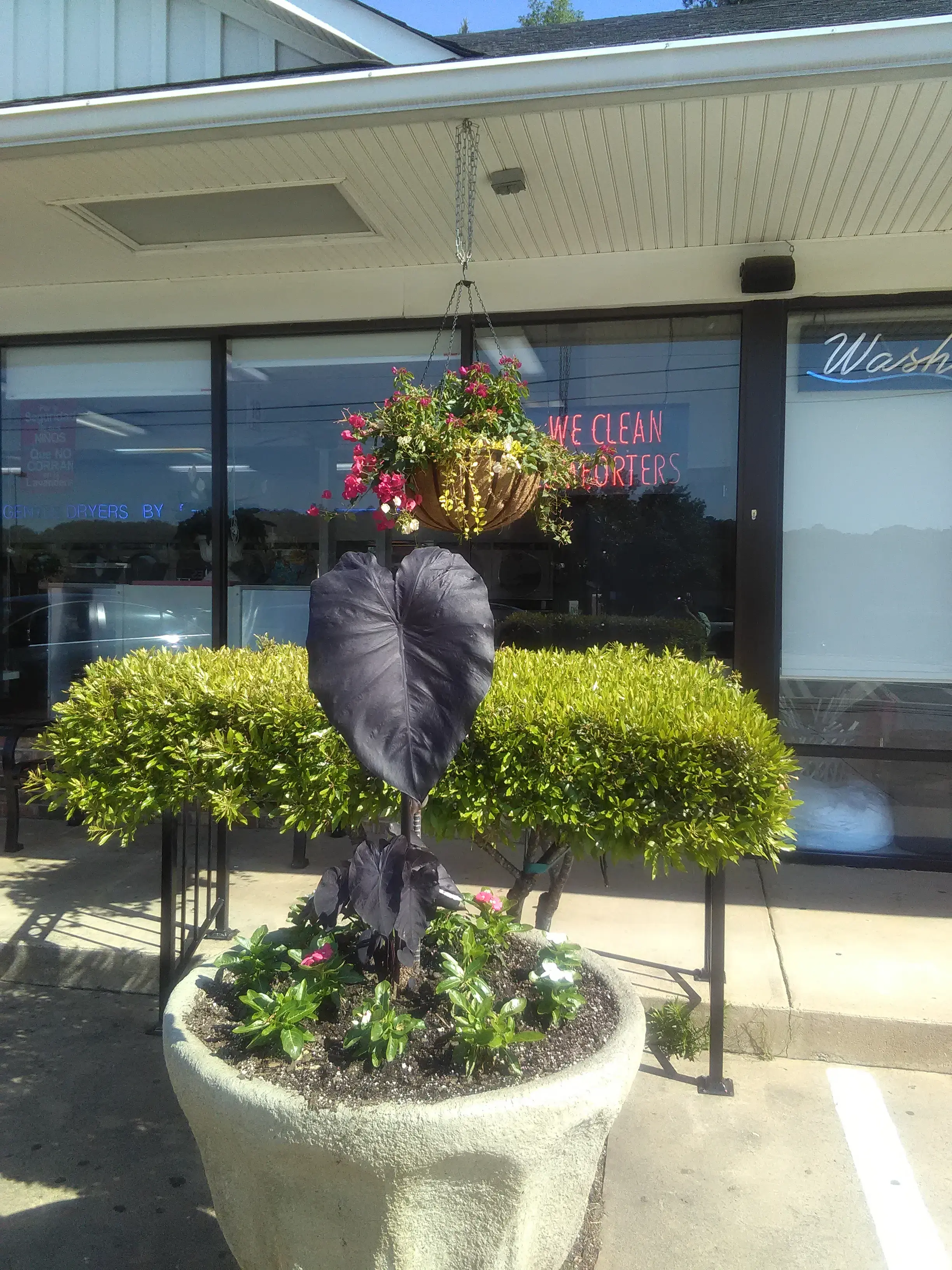 City Laundry thumbnail 19