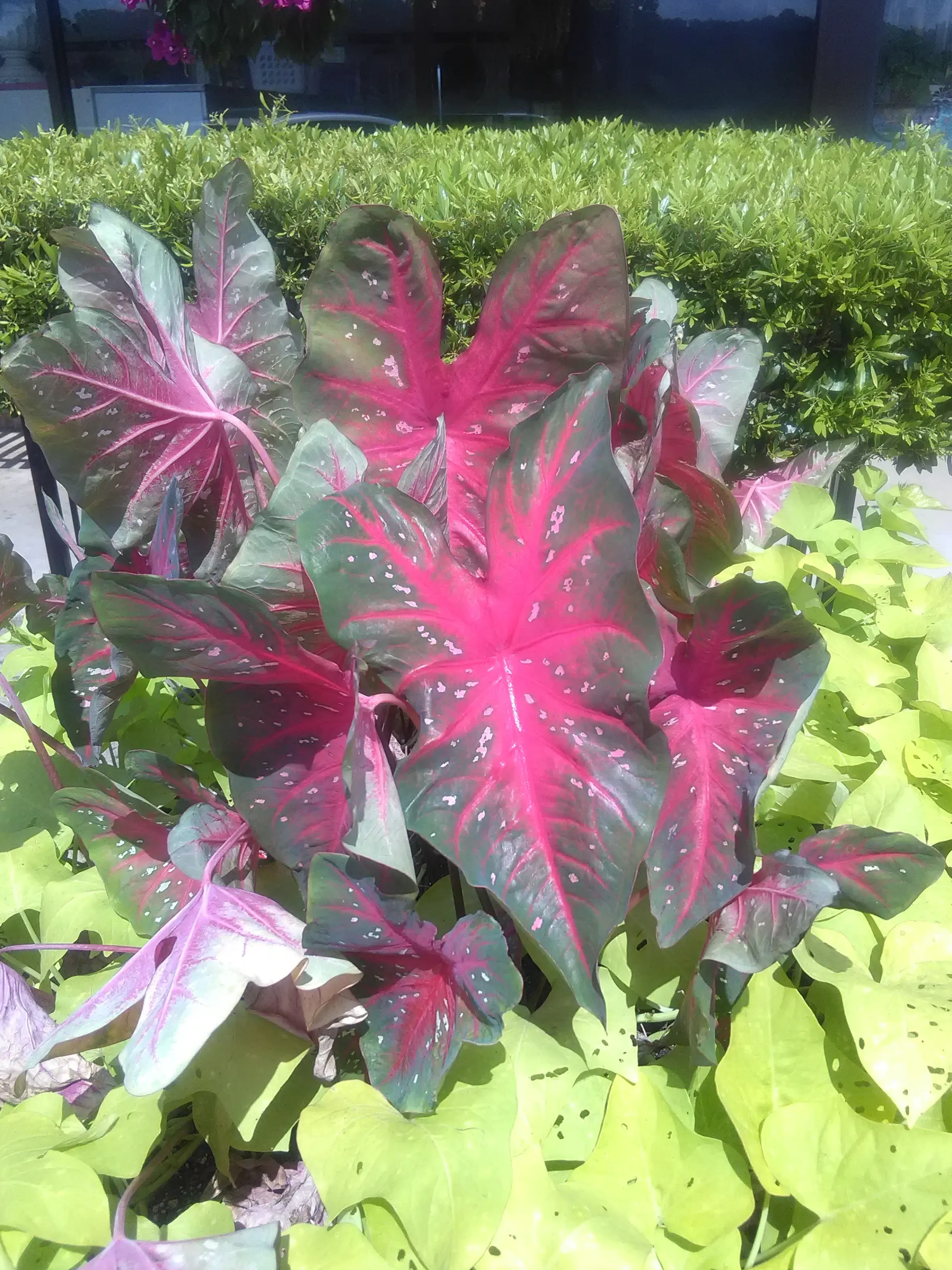 City Laundry - Image 18