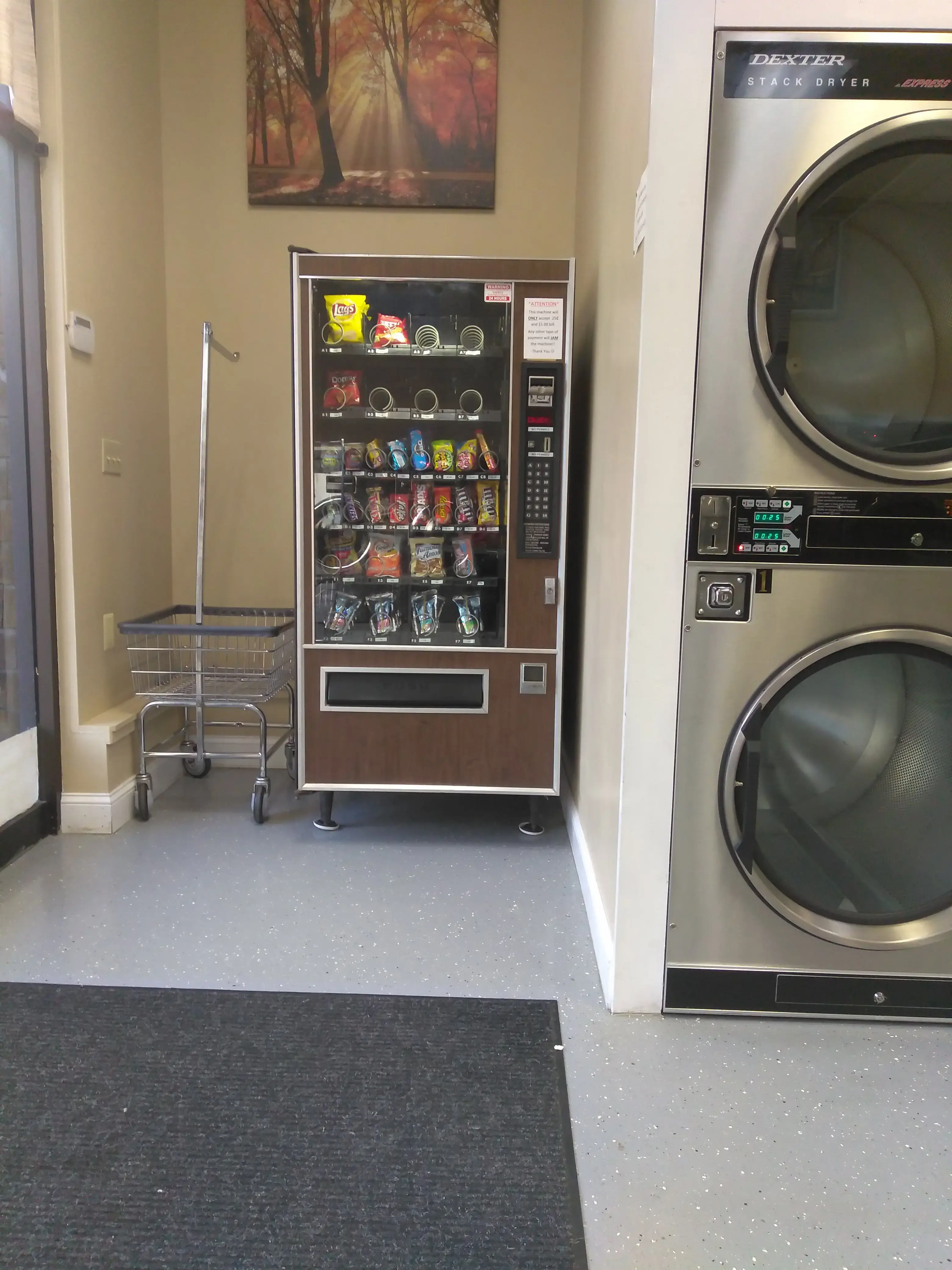 CJ's Laundromat - Image 2