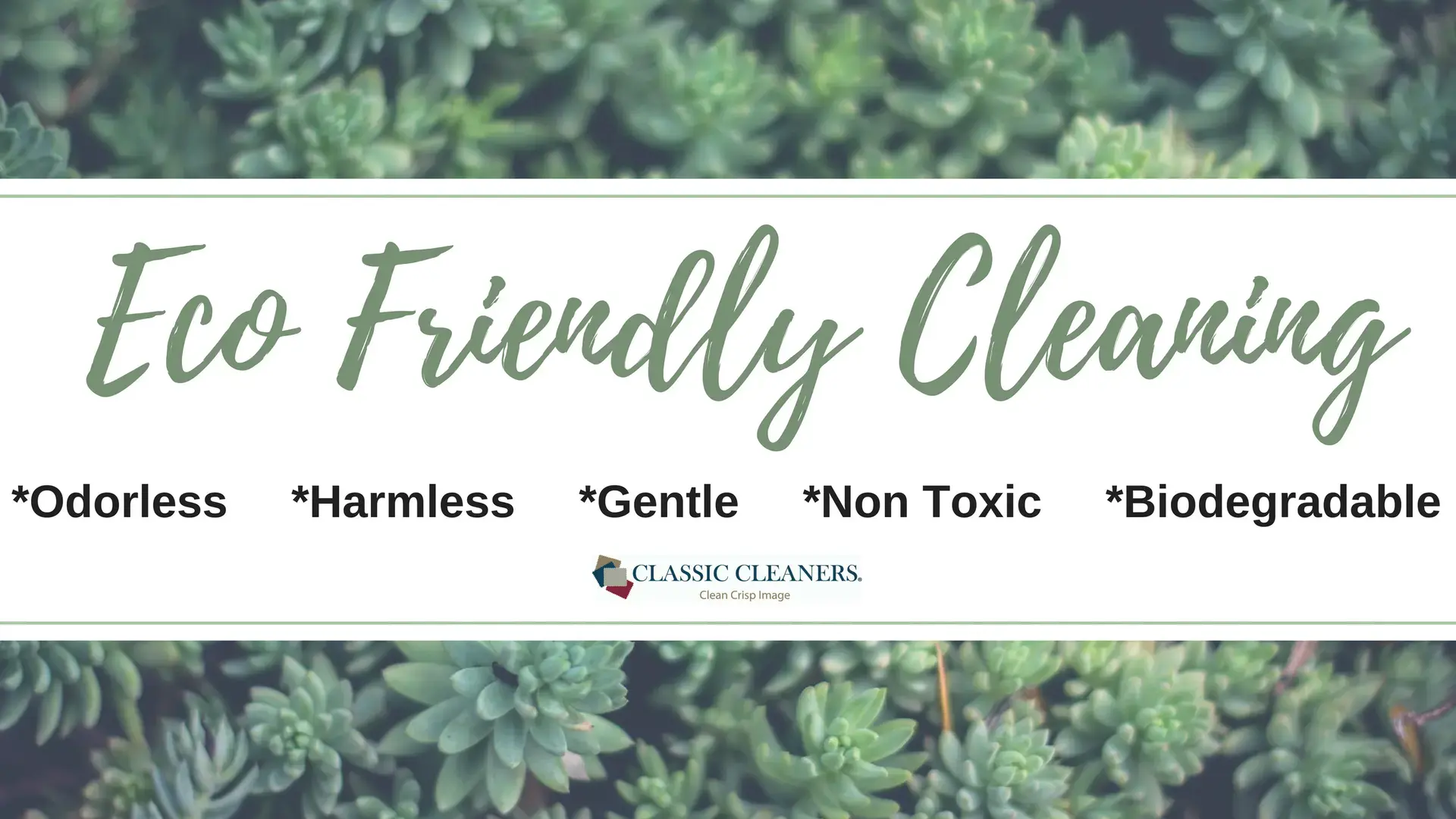 Classic Cleaners - Image 8