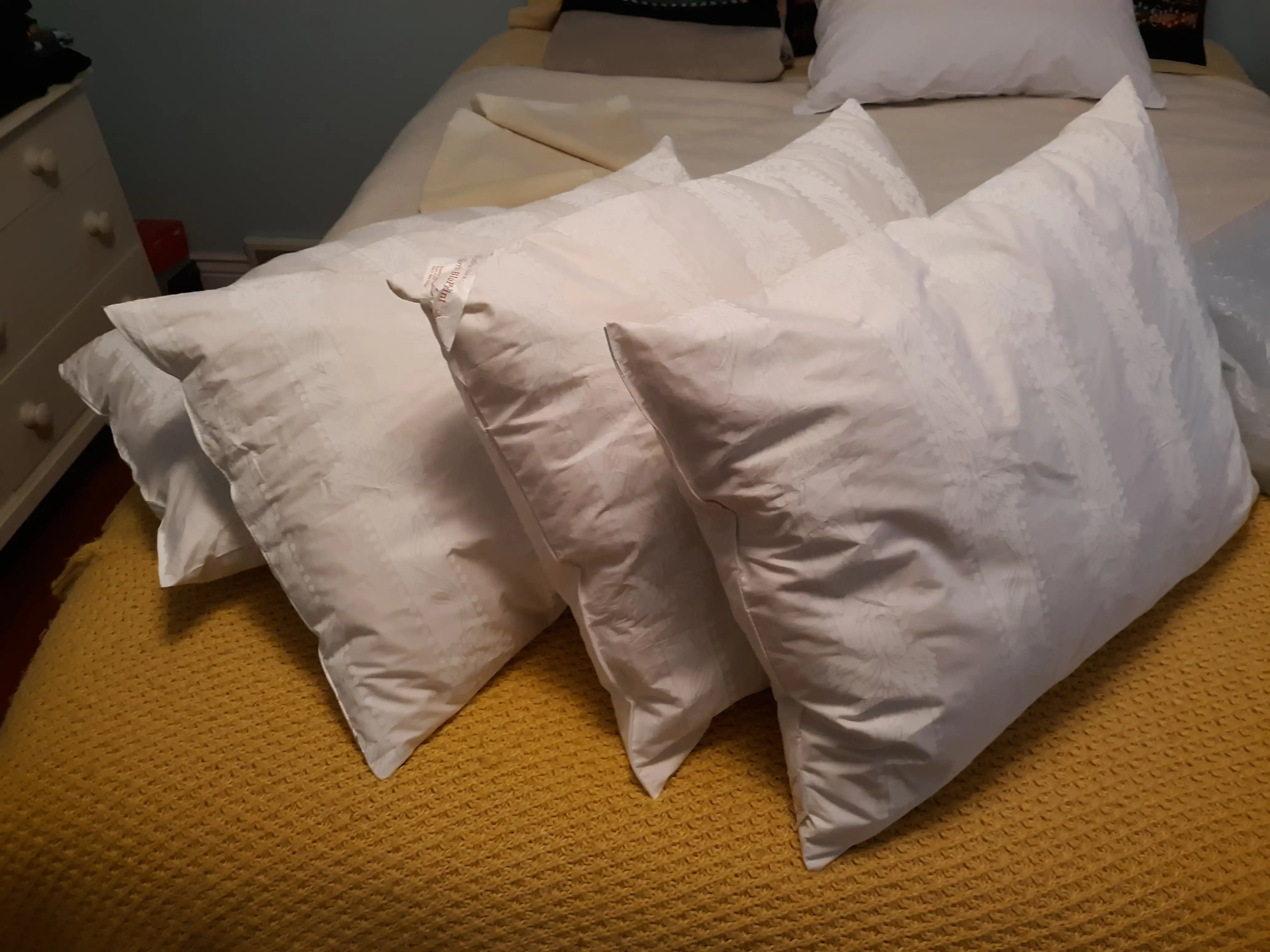 Classic Cleaners - Image 19