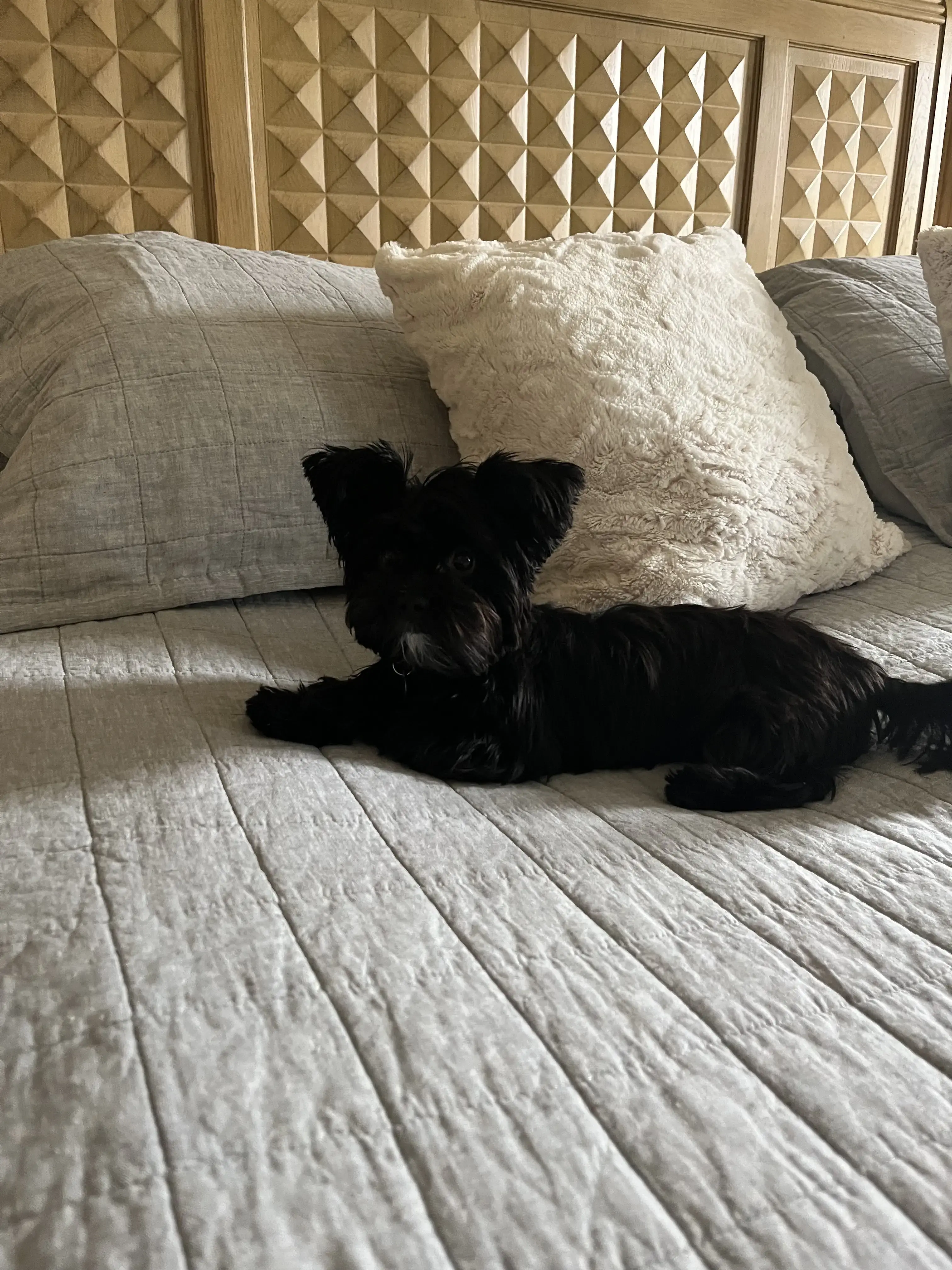 Classic Deluxe Cleaners thumbnail 4