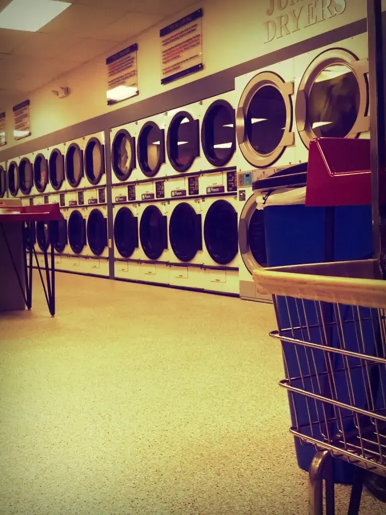 Classic Drycleaners and Laundromats thumbnail 12