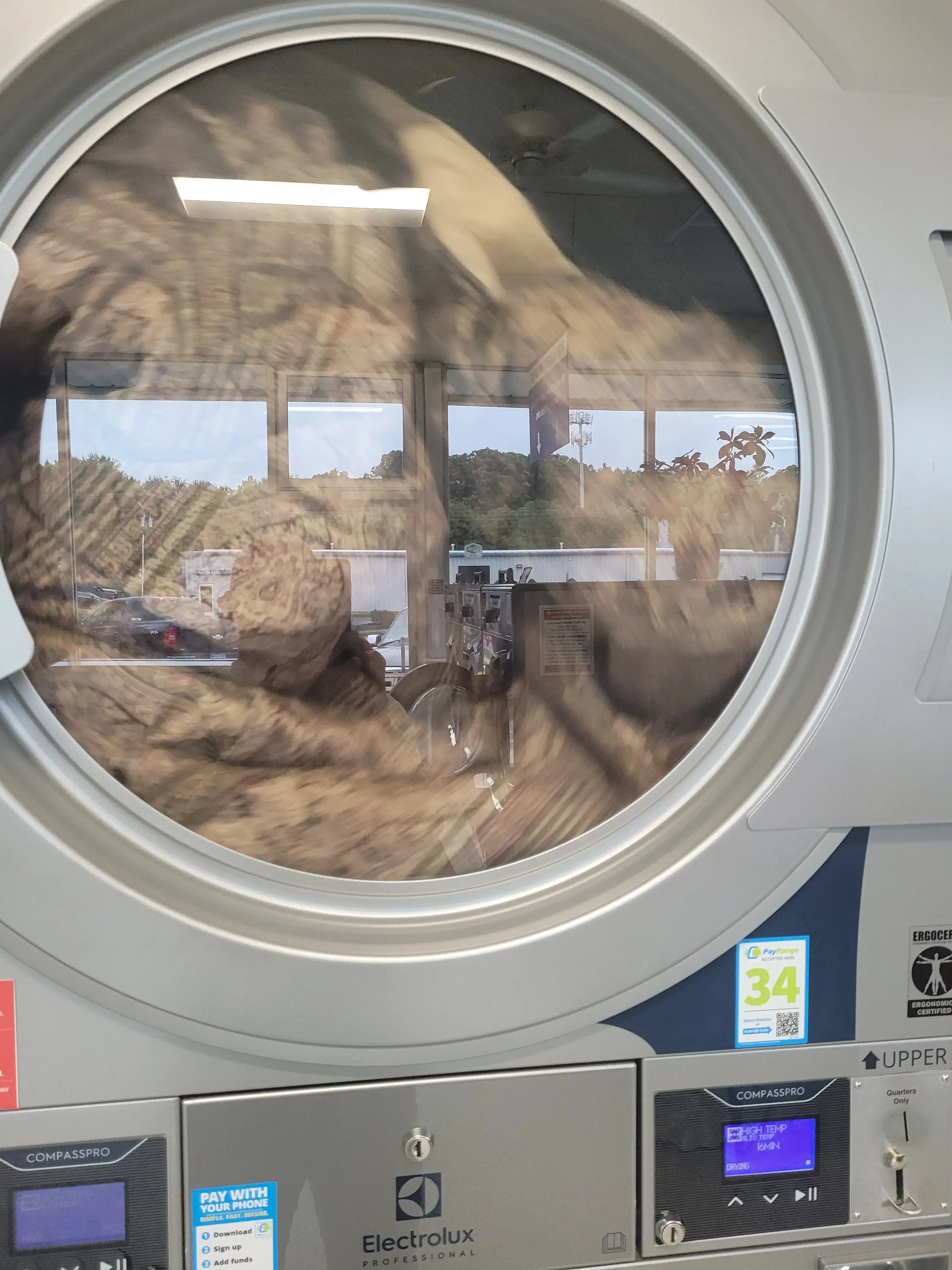 Classic Drycleaners and Laundromats thumbnail 9