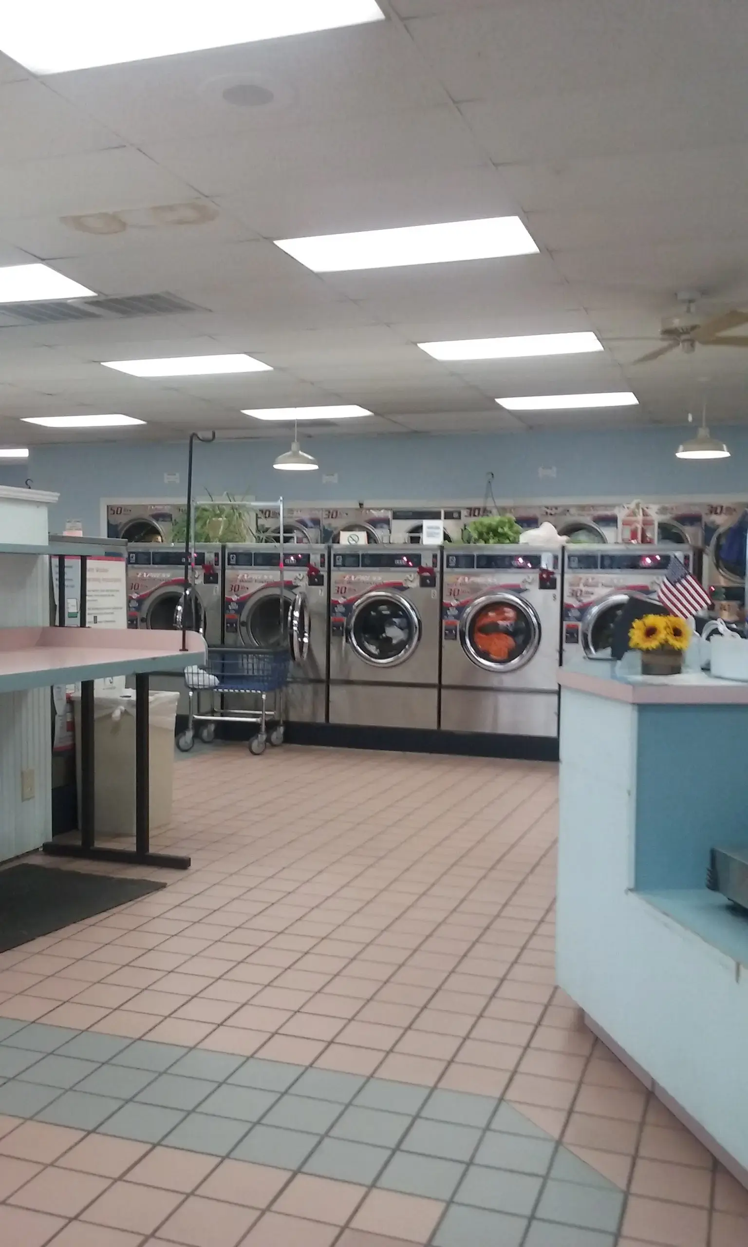 Clean Clothes Laundry Co. - Image 18