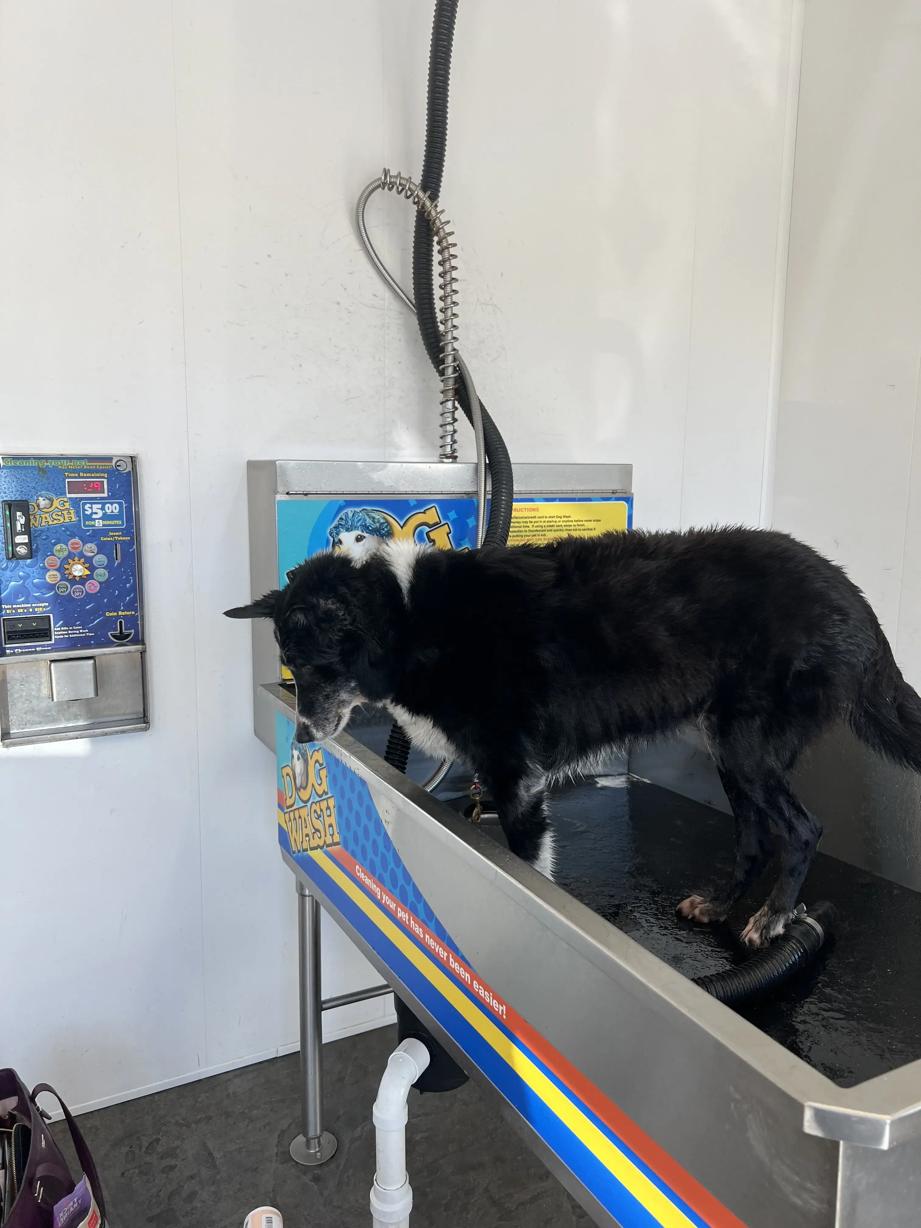 Clean Enterprises Laundromat & Car Wash thumbnail 3