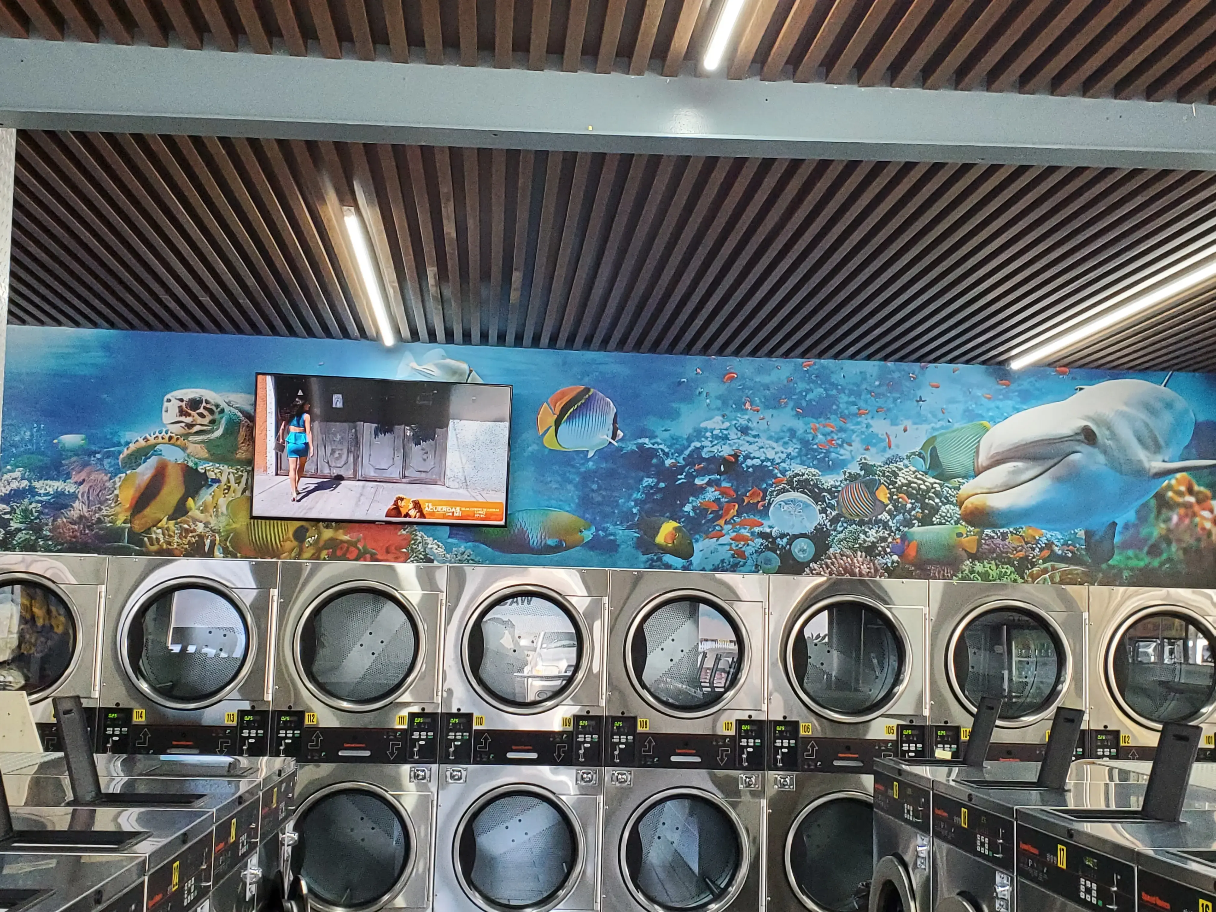 Clean Envy Laundromat & Wash and Fold location