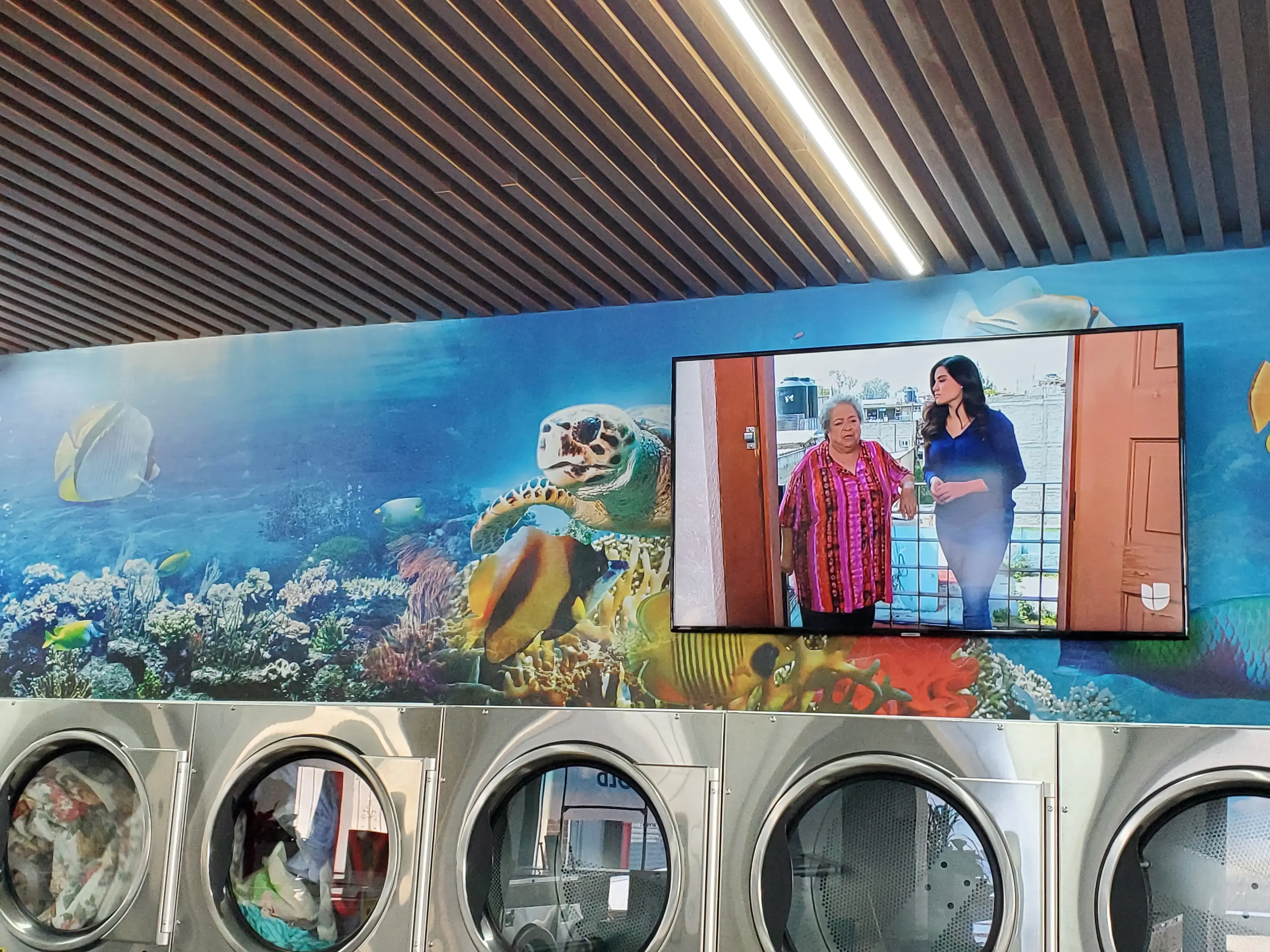 Clean Envy Laundromat & Wash and Fold thumbnail 6