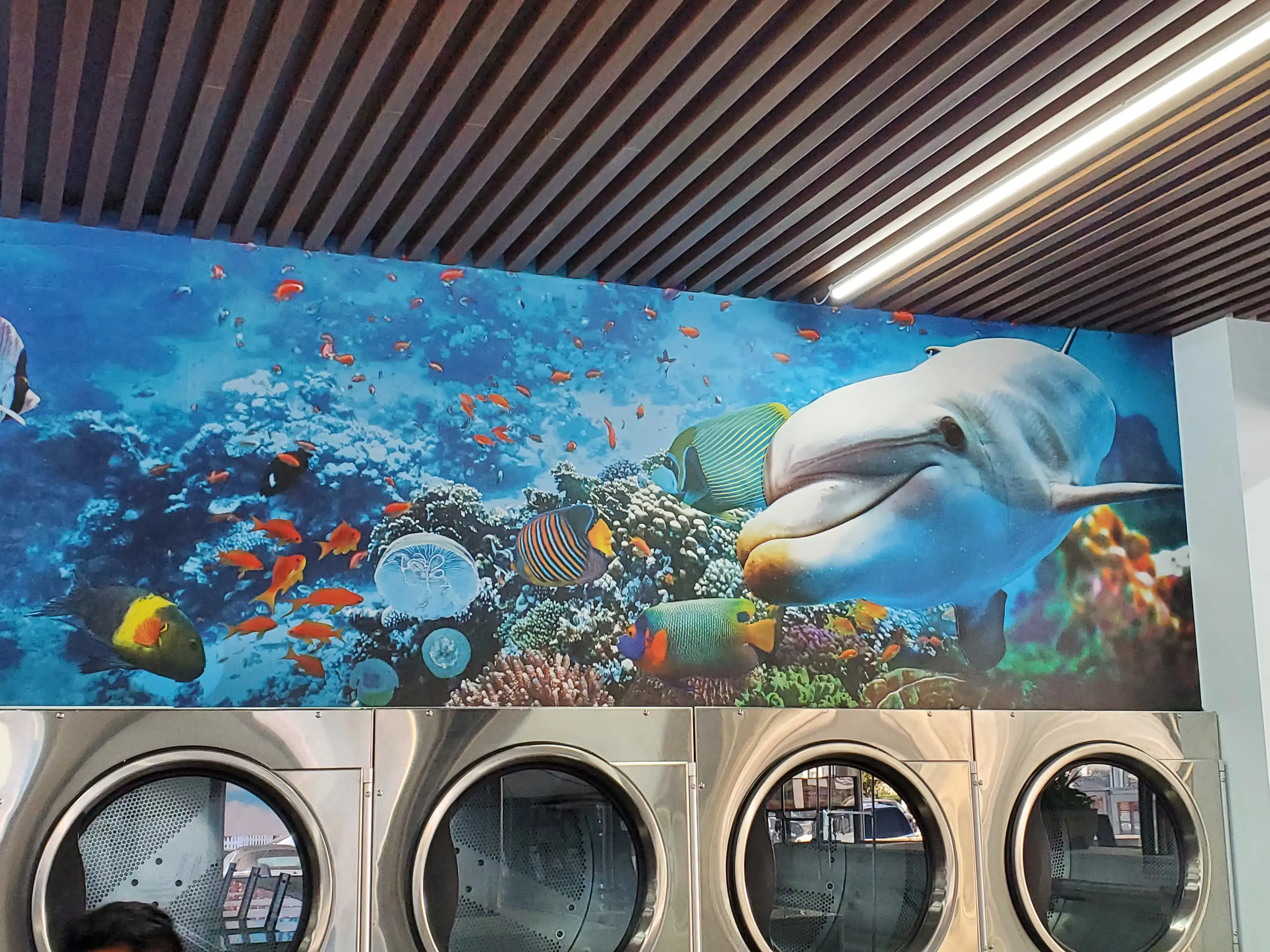 Clean Envy Laundromat & Wash and Fold thumbnail 13