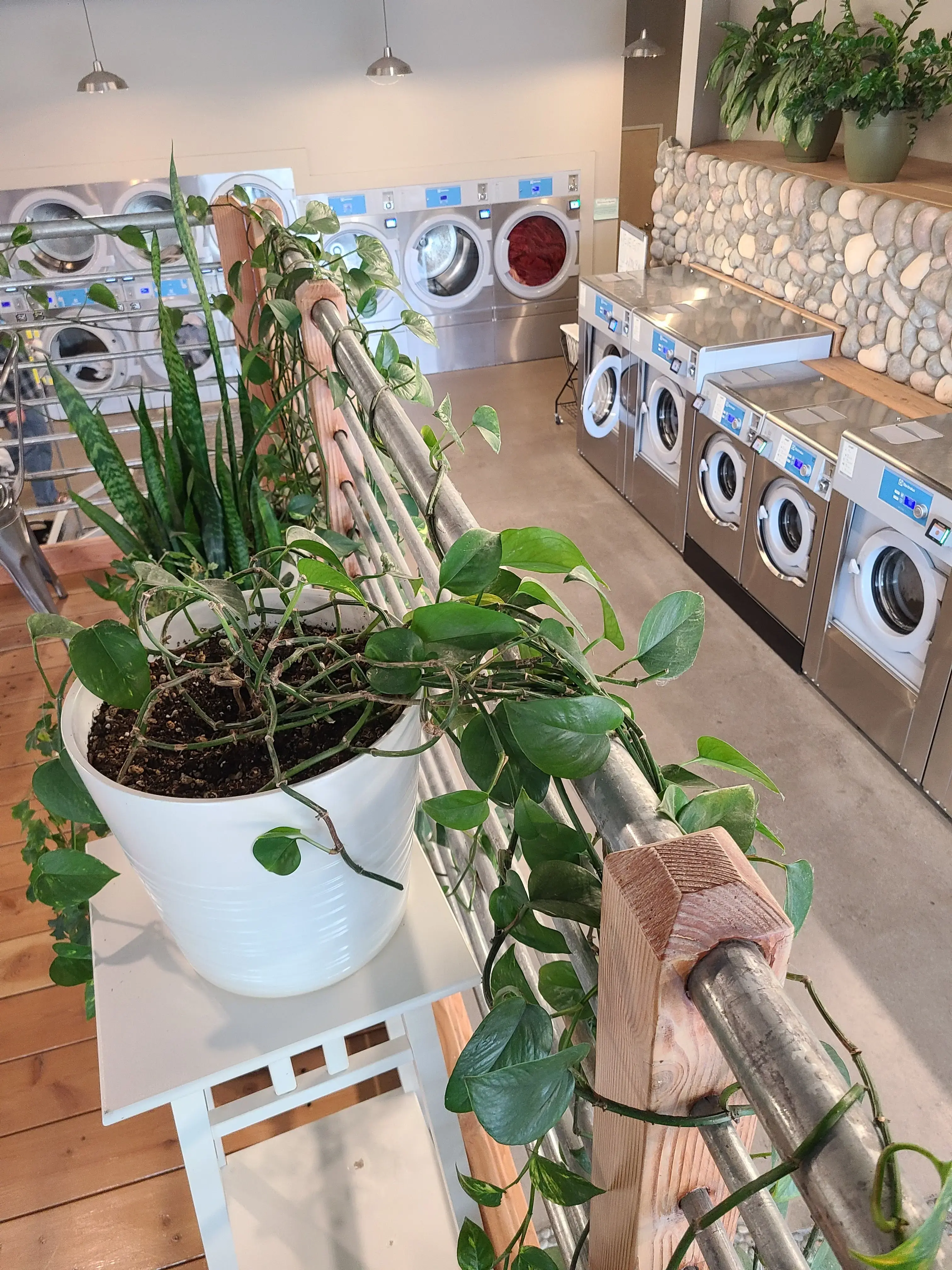 Clean Eugene Laundromat - Image 16