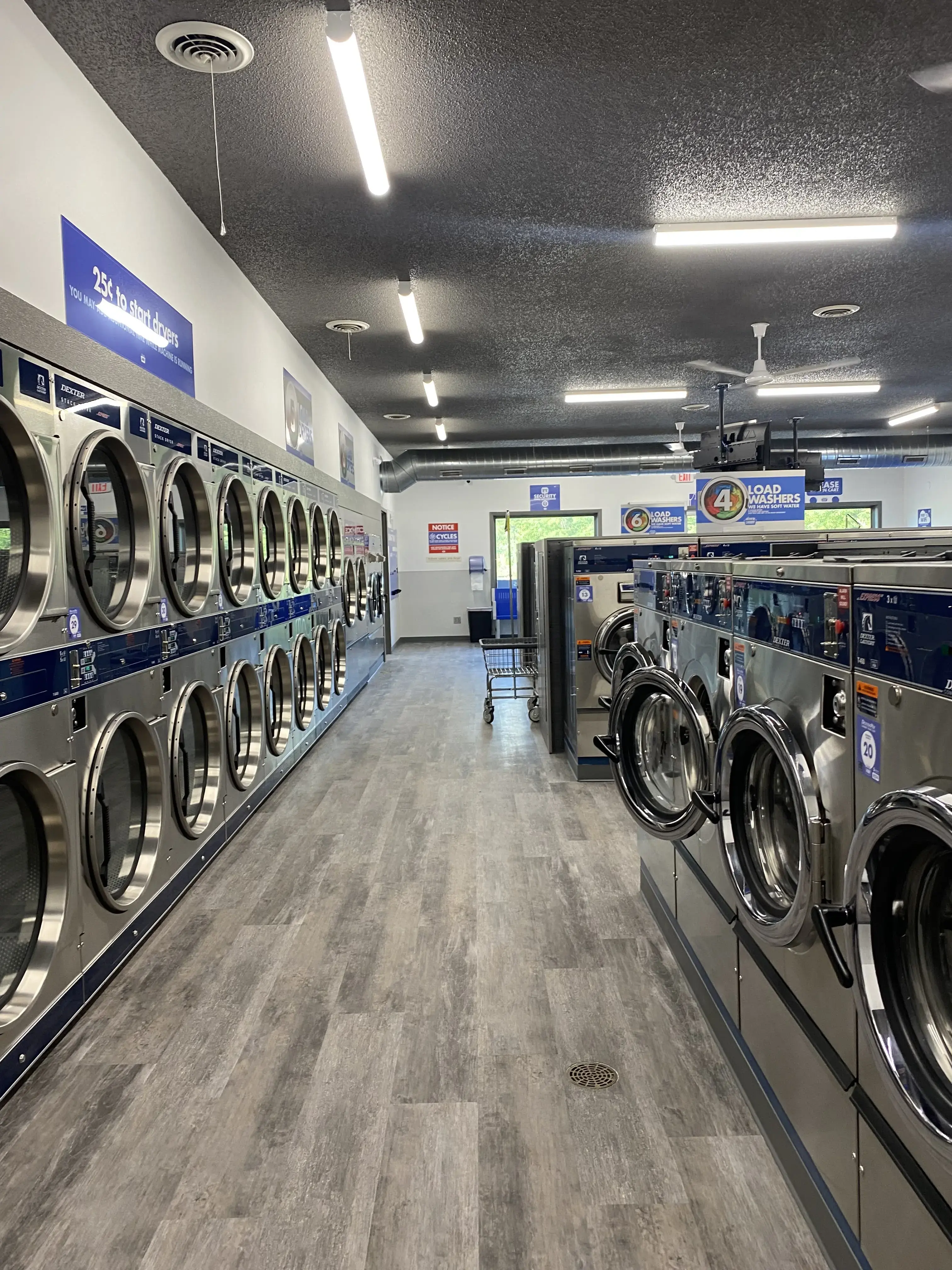 Clean Laundry - Image 17