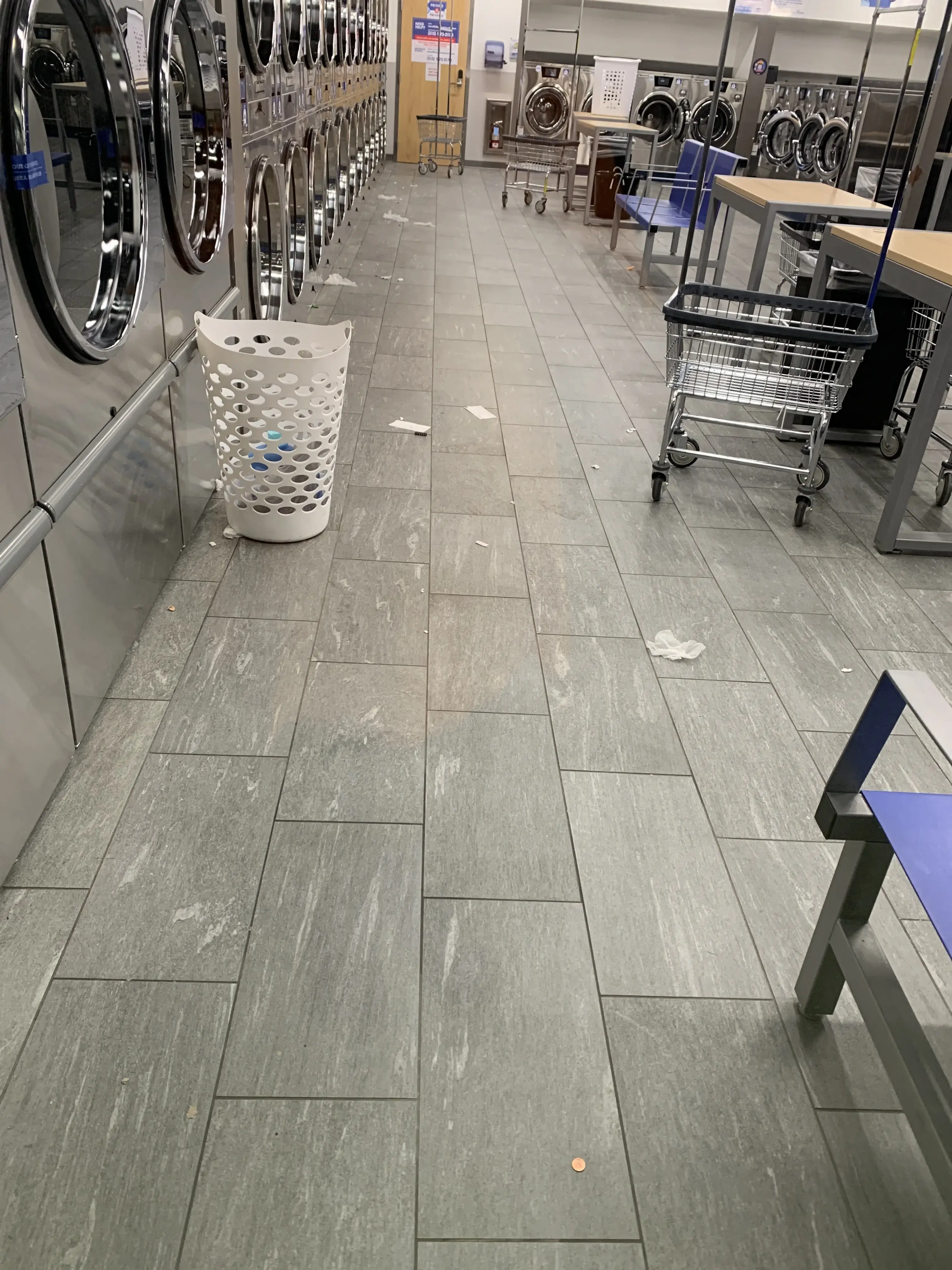 Clean Laundry thumbnail 5