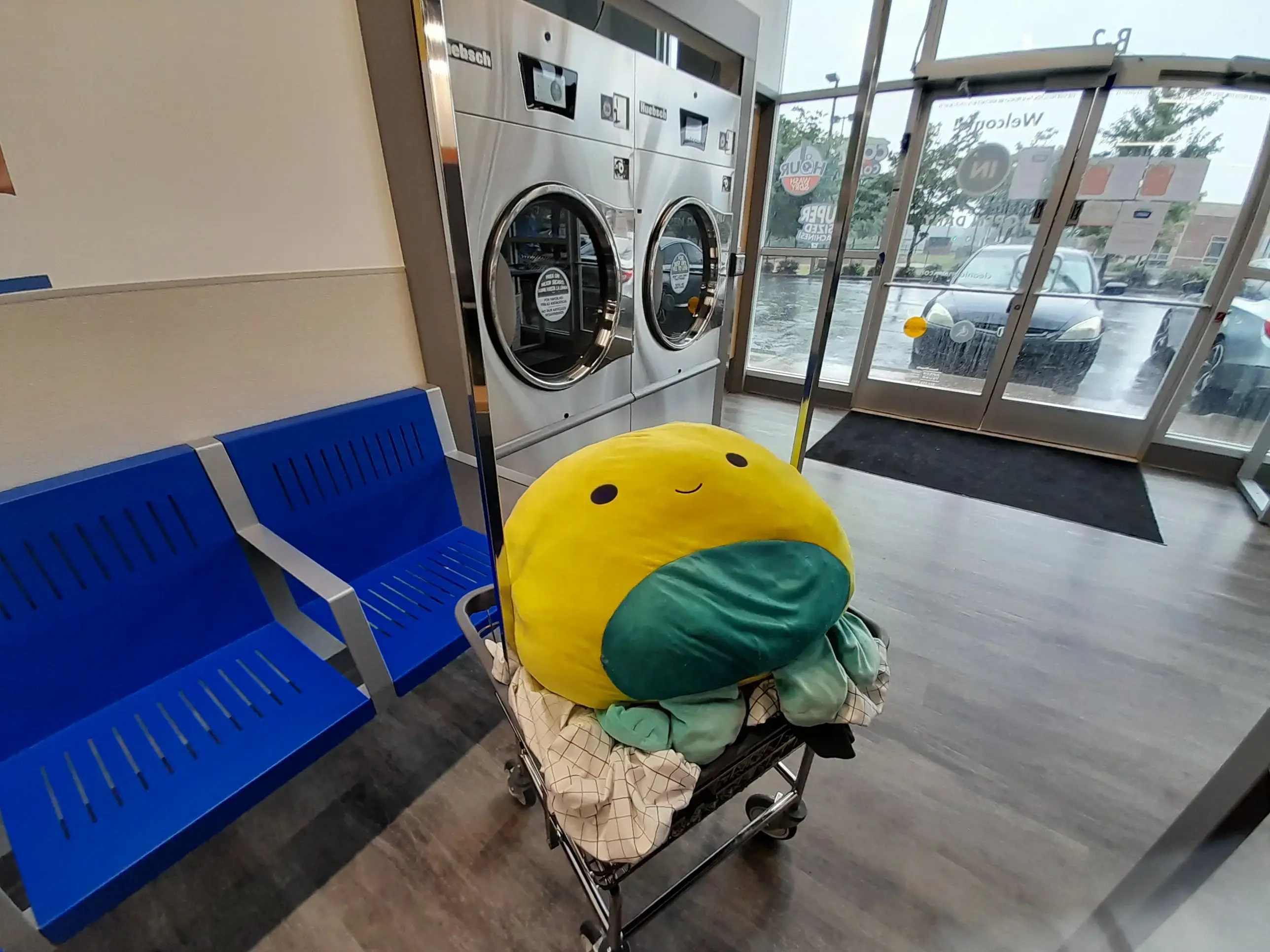Clean Laundry - Image 4