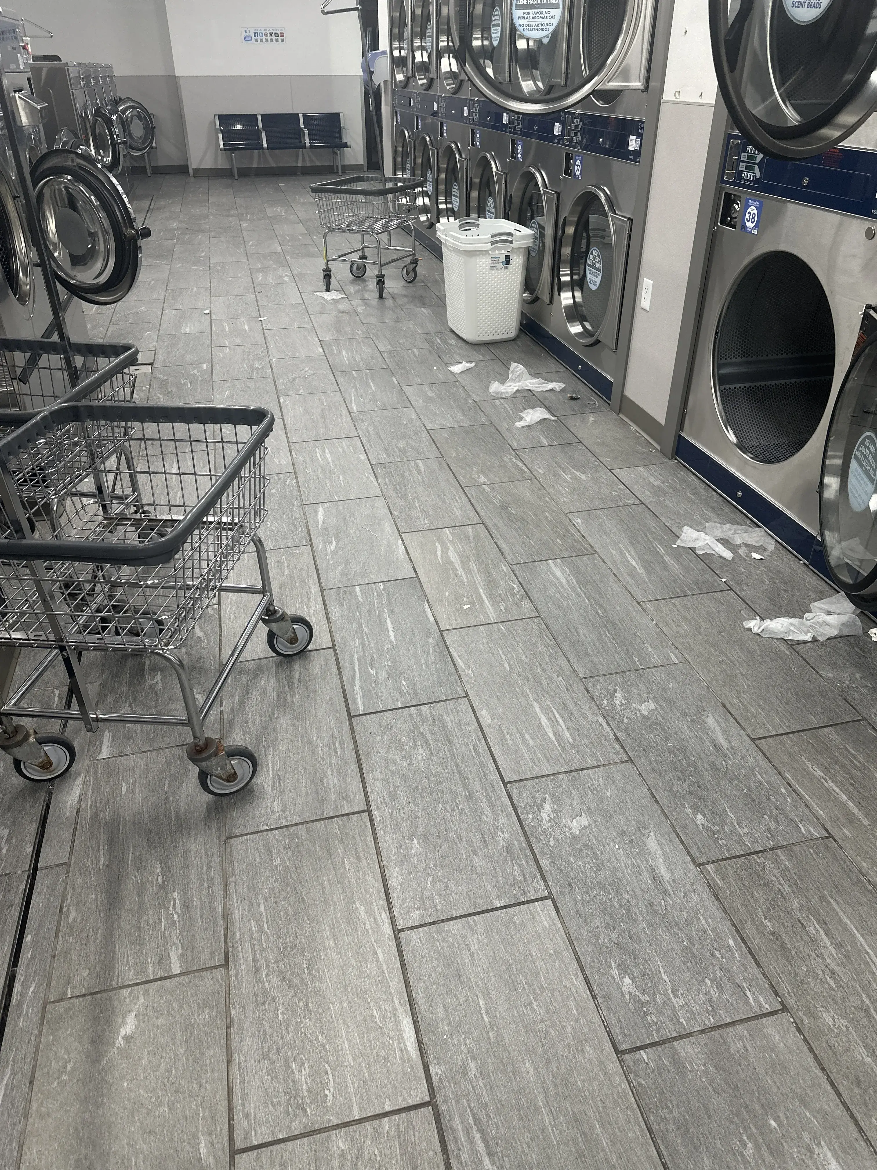 Clean Laundry - Image 19