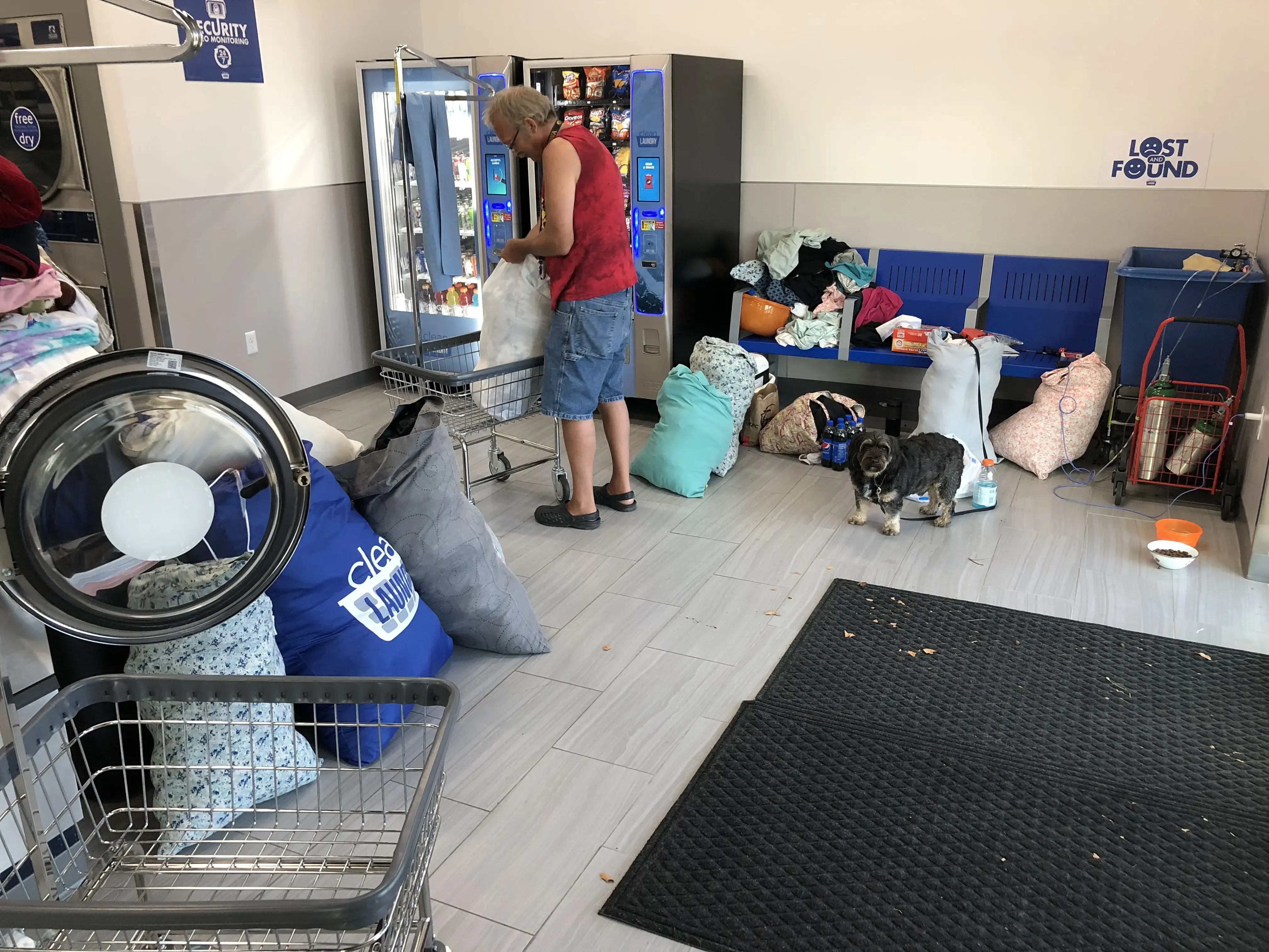 Clean Laundry - Image 12