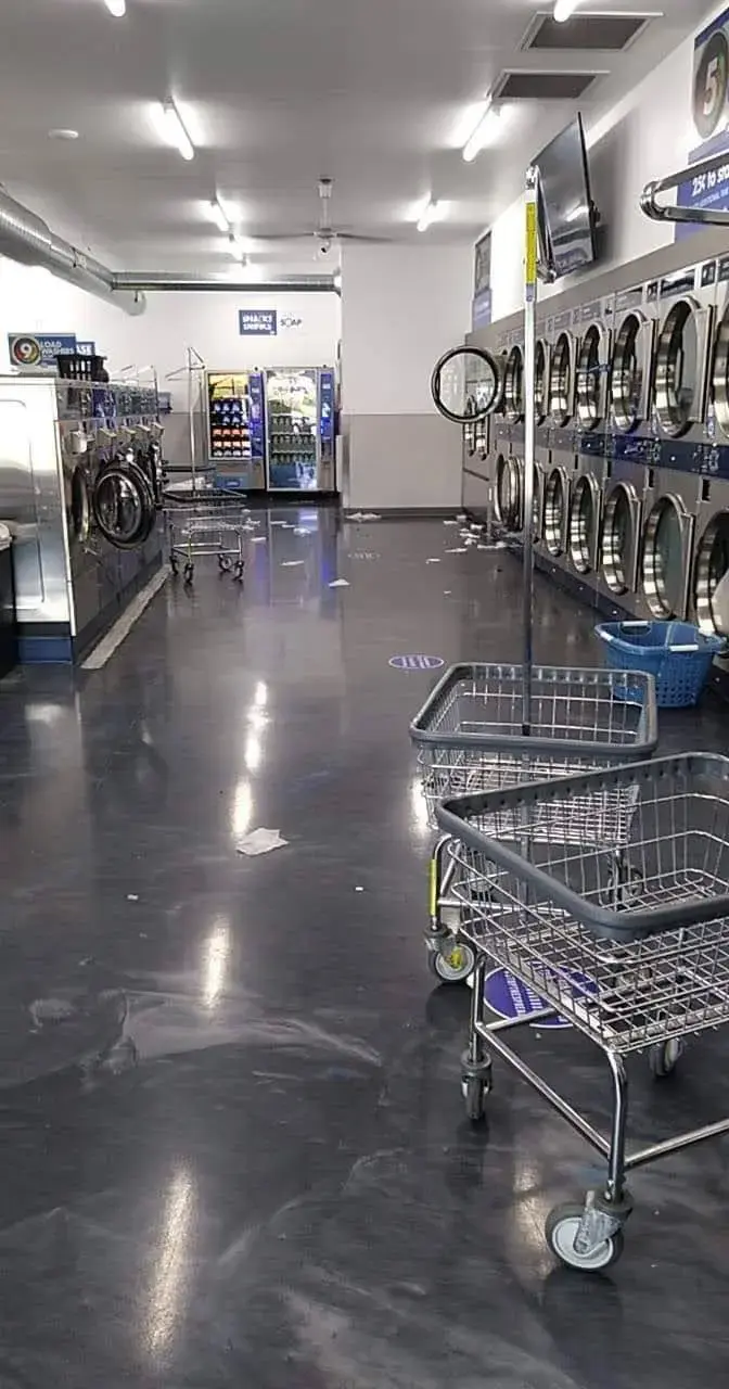 Clean Laundry thumbnail 10