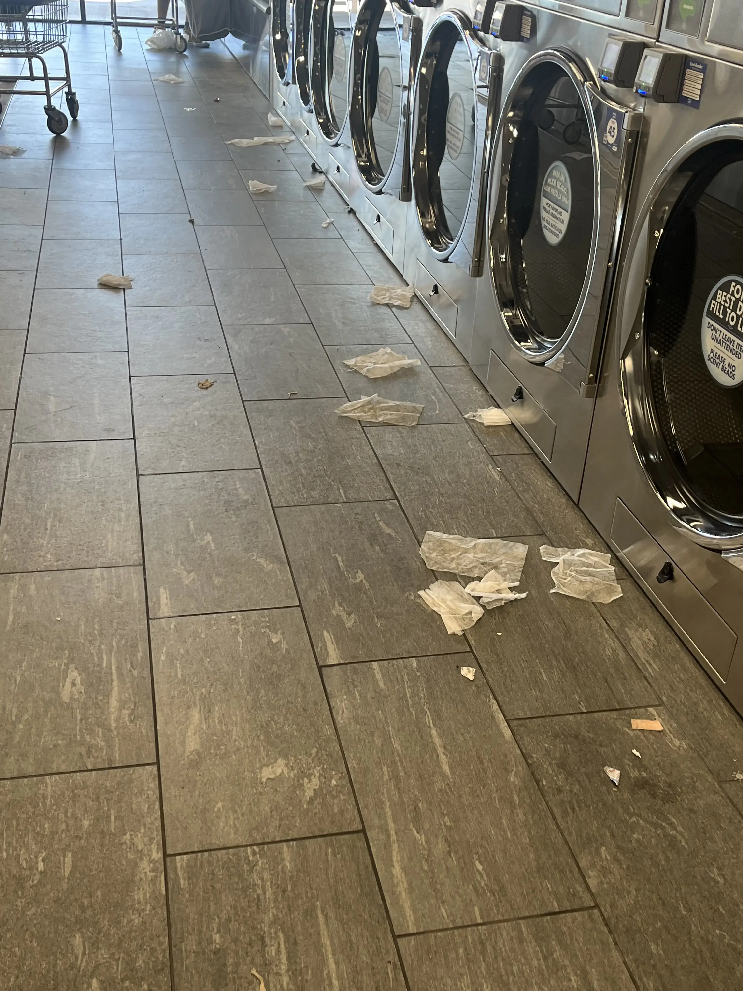 Clean Laundry - Image 12