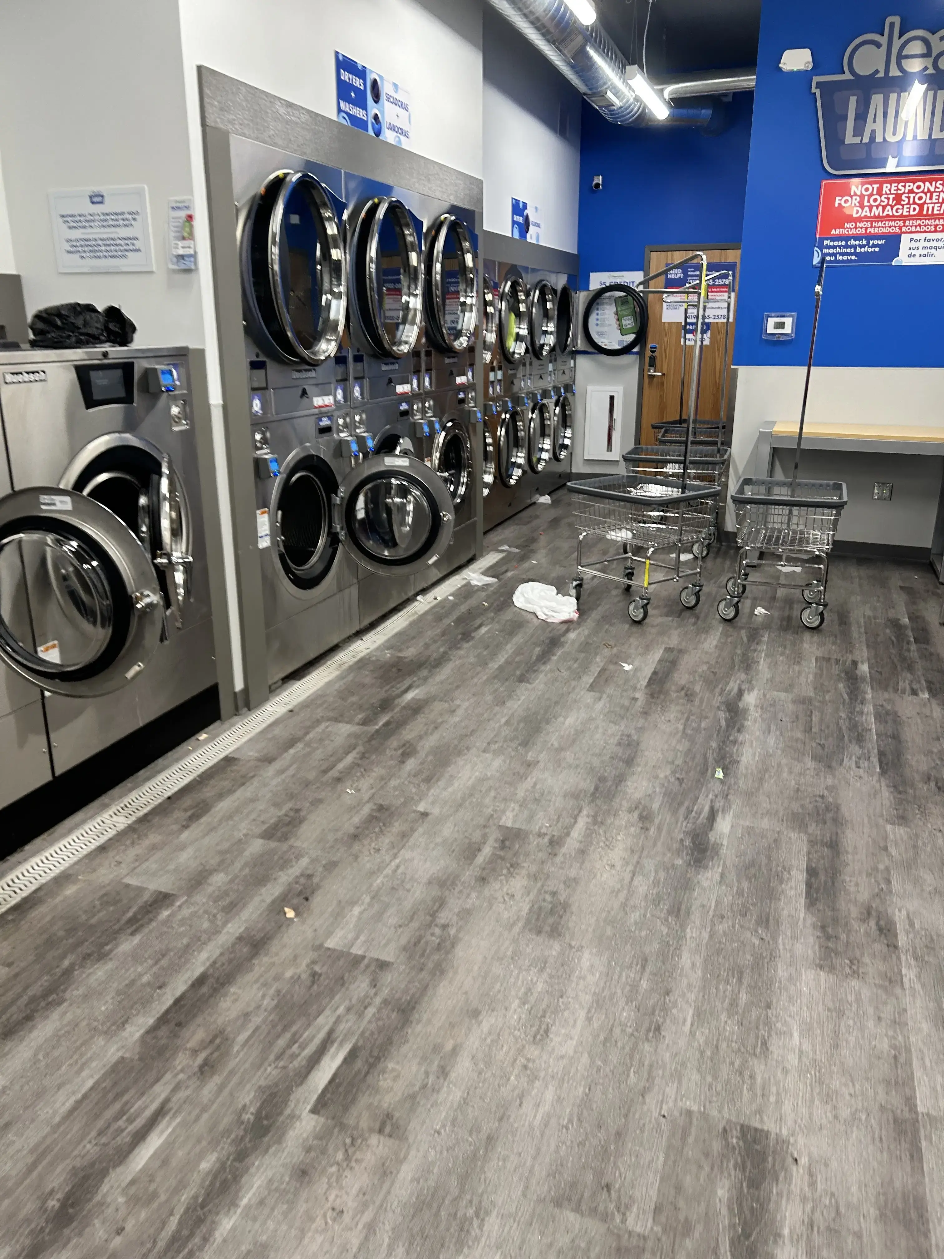 Clean Laundry - Image 14