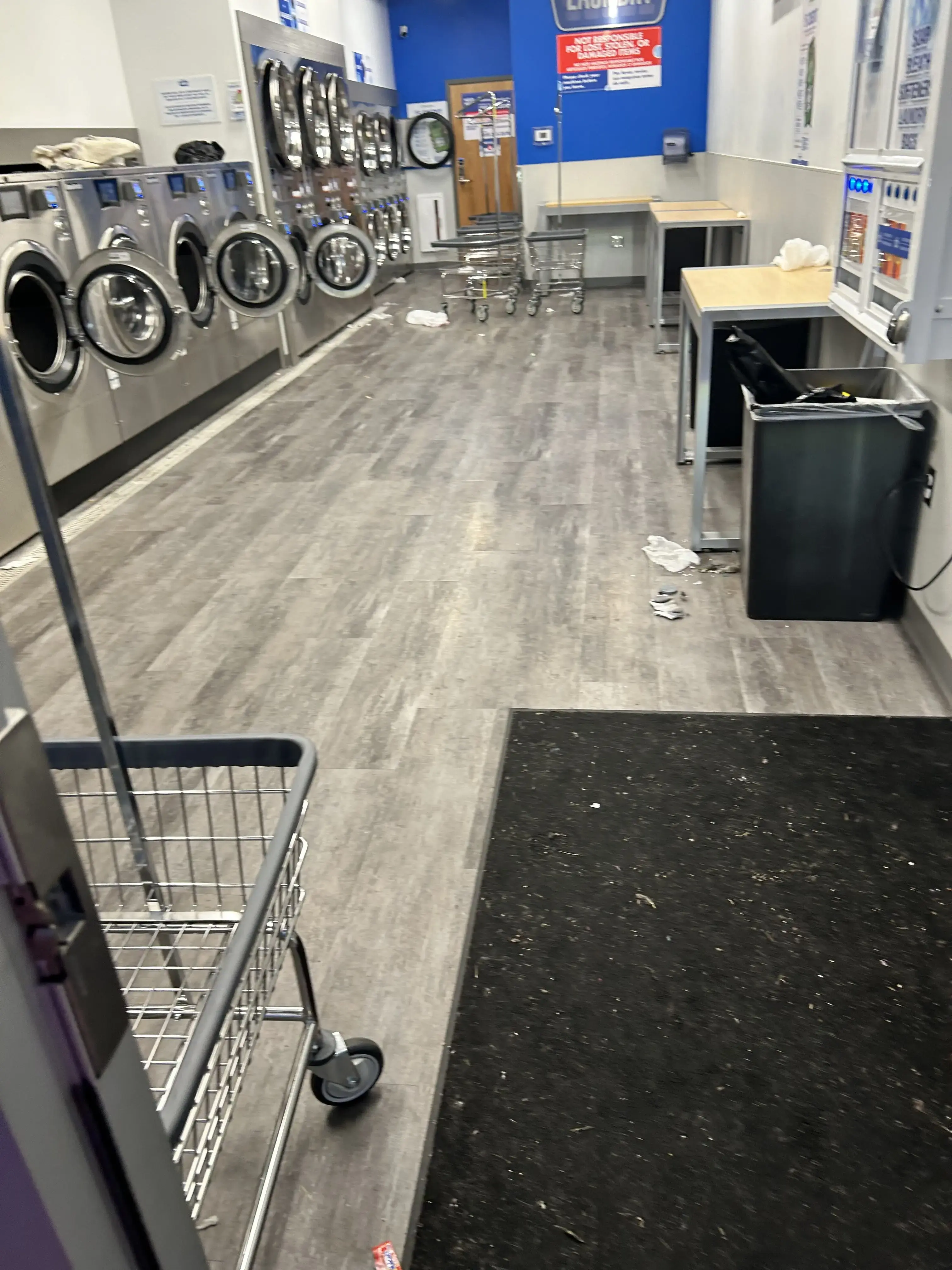 Clean Laundry thumbnail 12