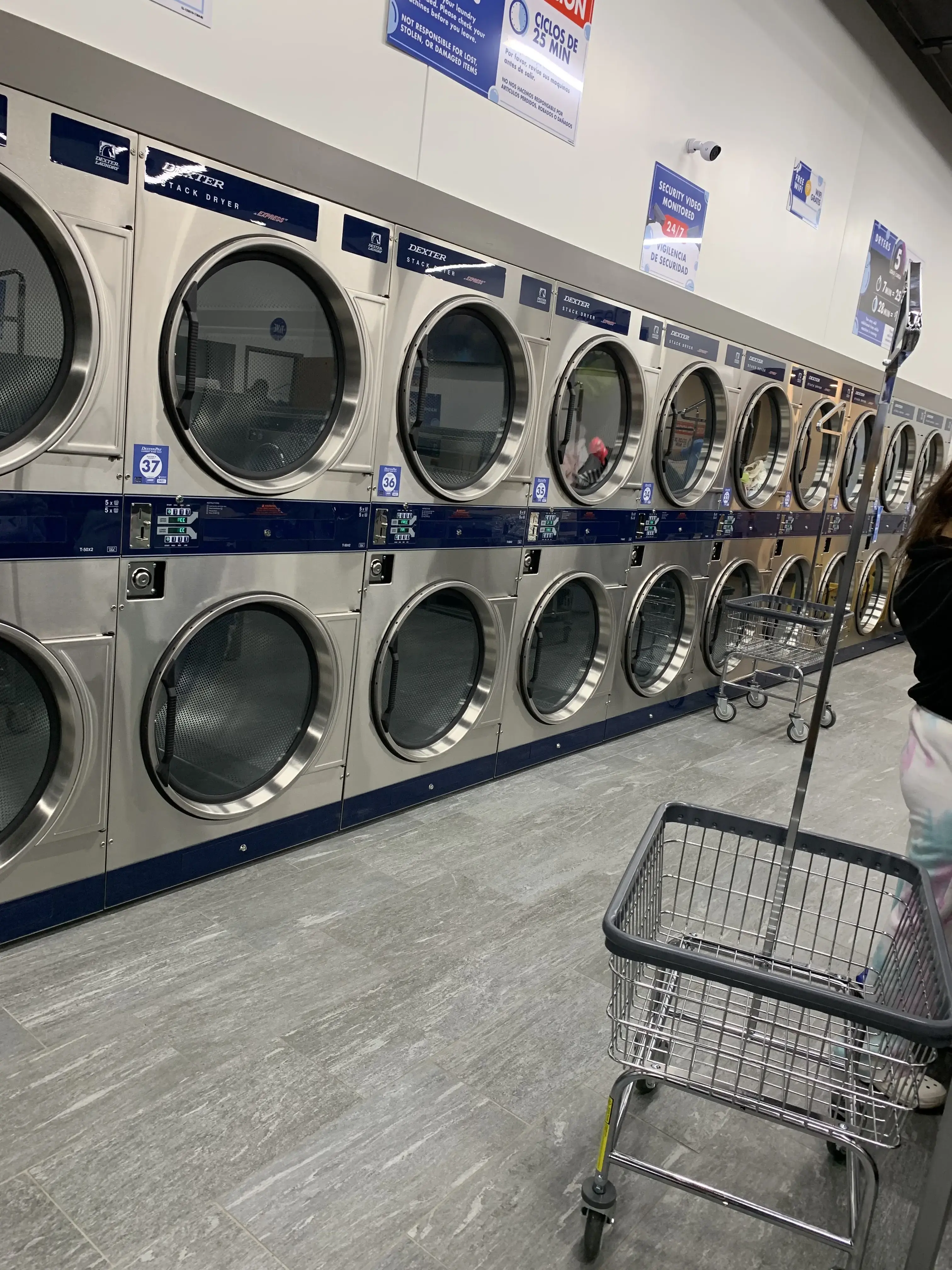 Clean Laundry - Image 19
