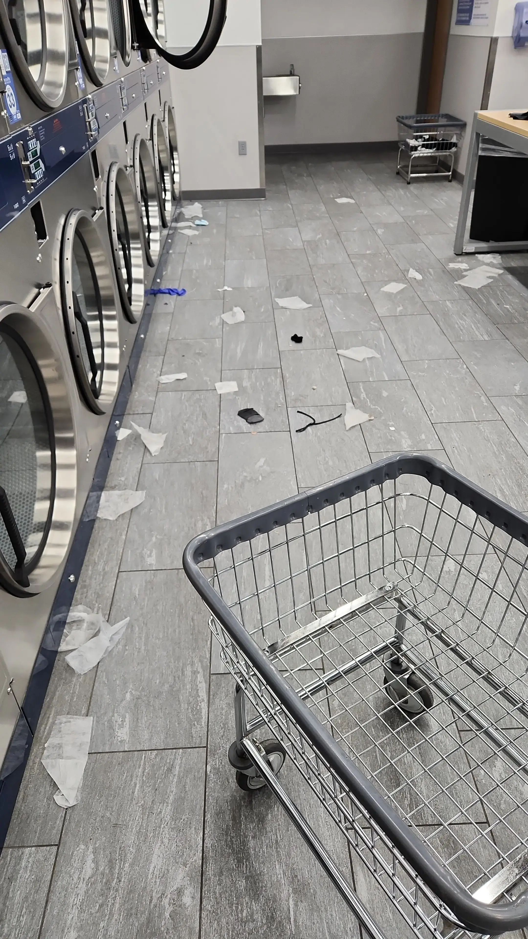 Clean Laundry - Image 17
