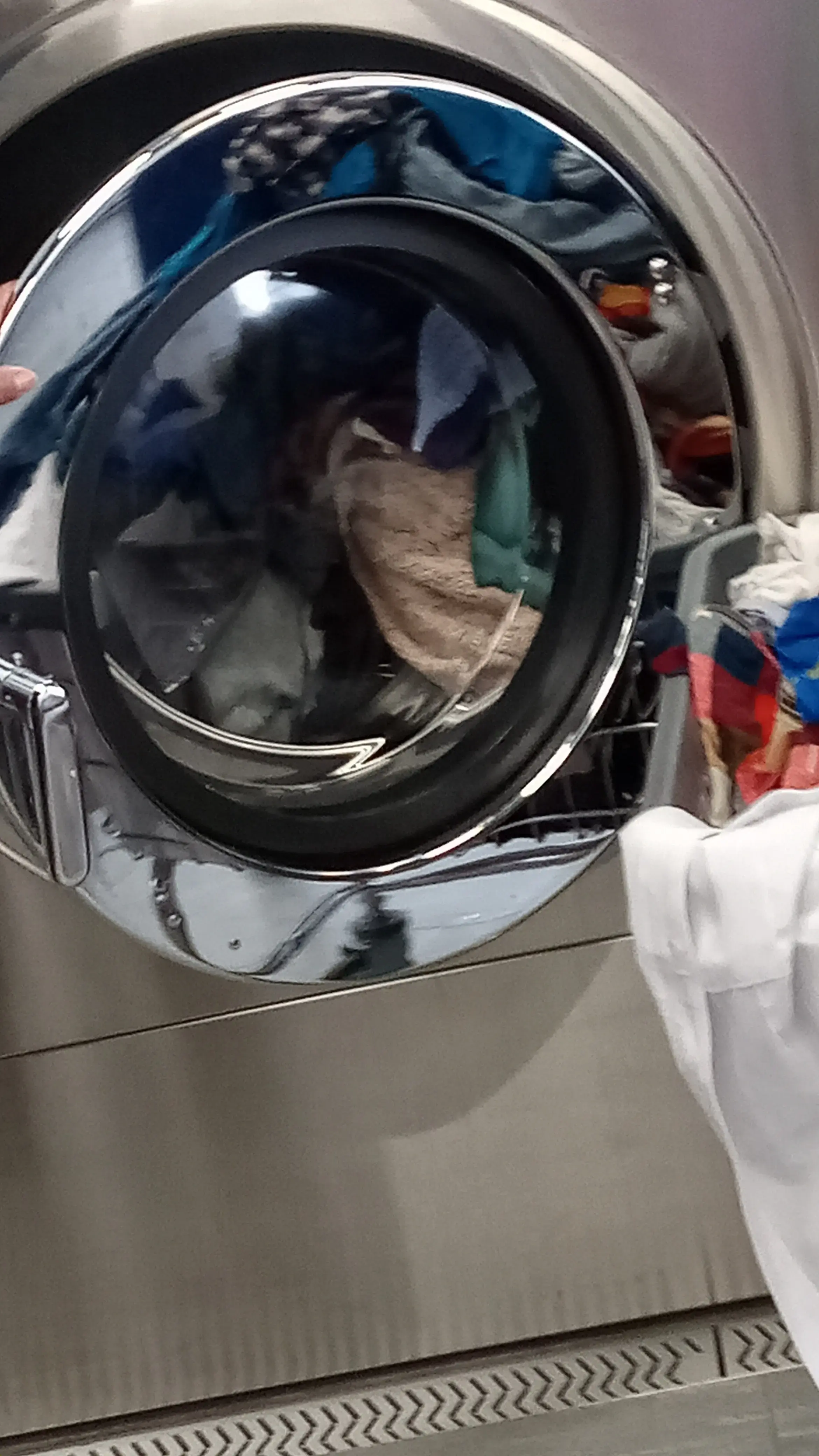 Clean Laundry - Image 5