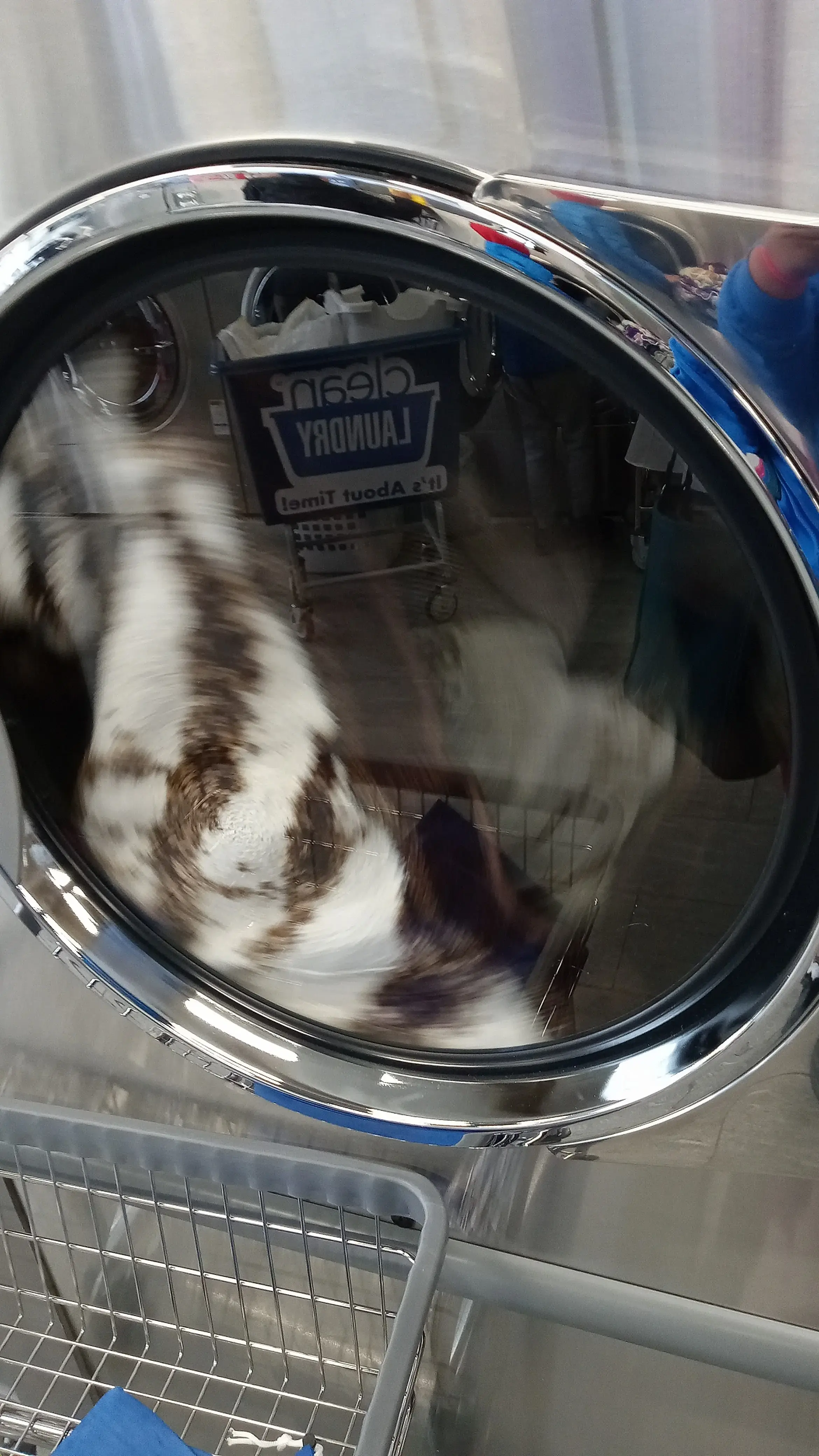 Clean Laundry - Image 7