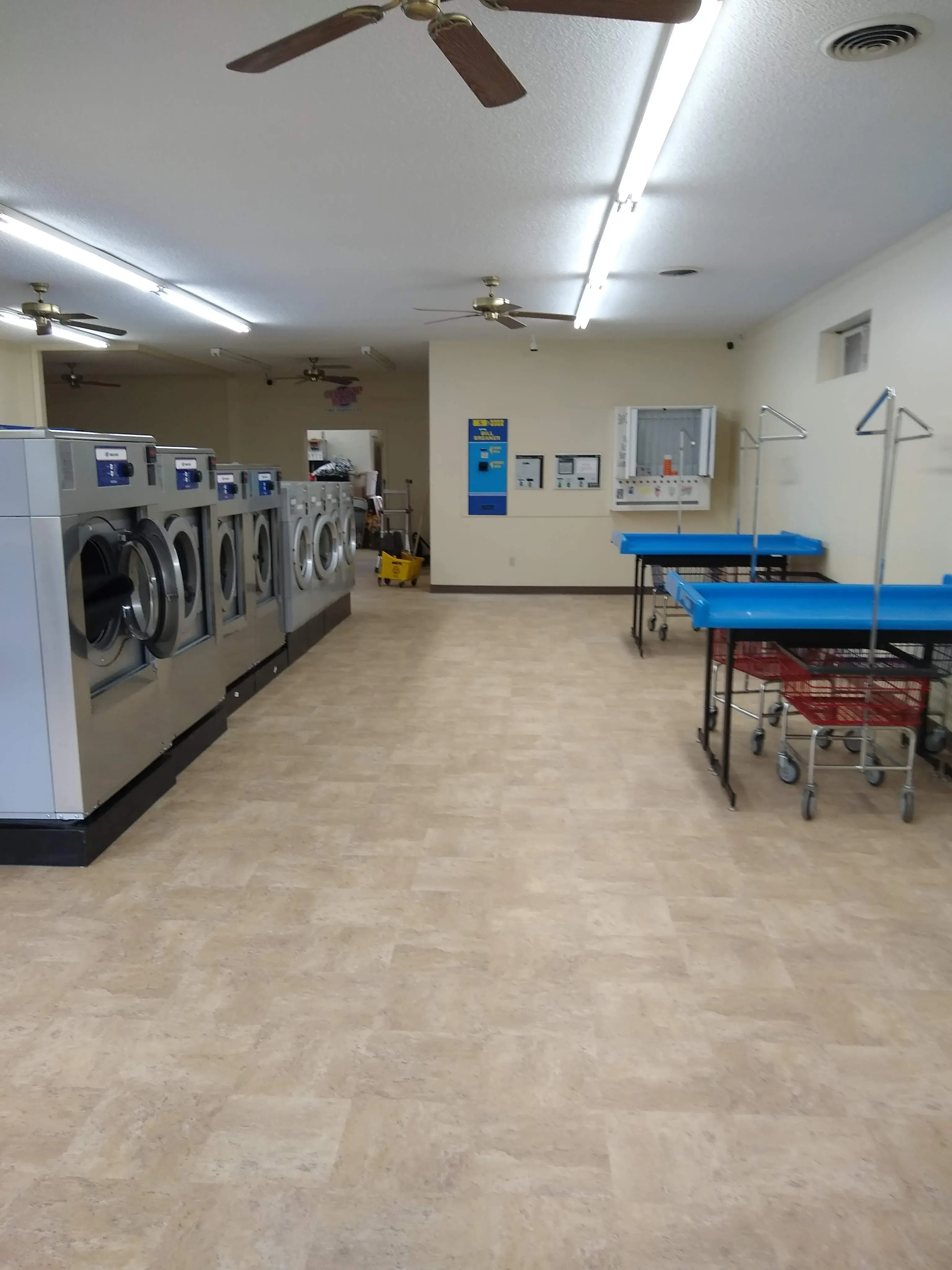 Clean N Brite - Image 5