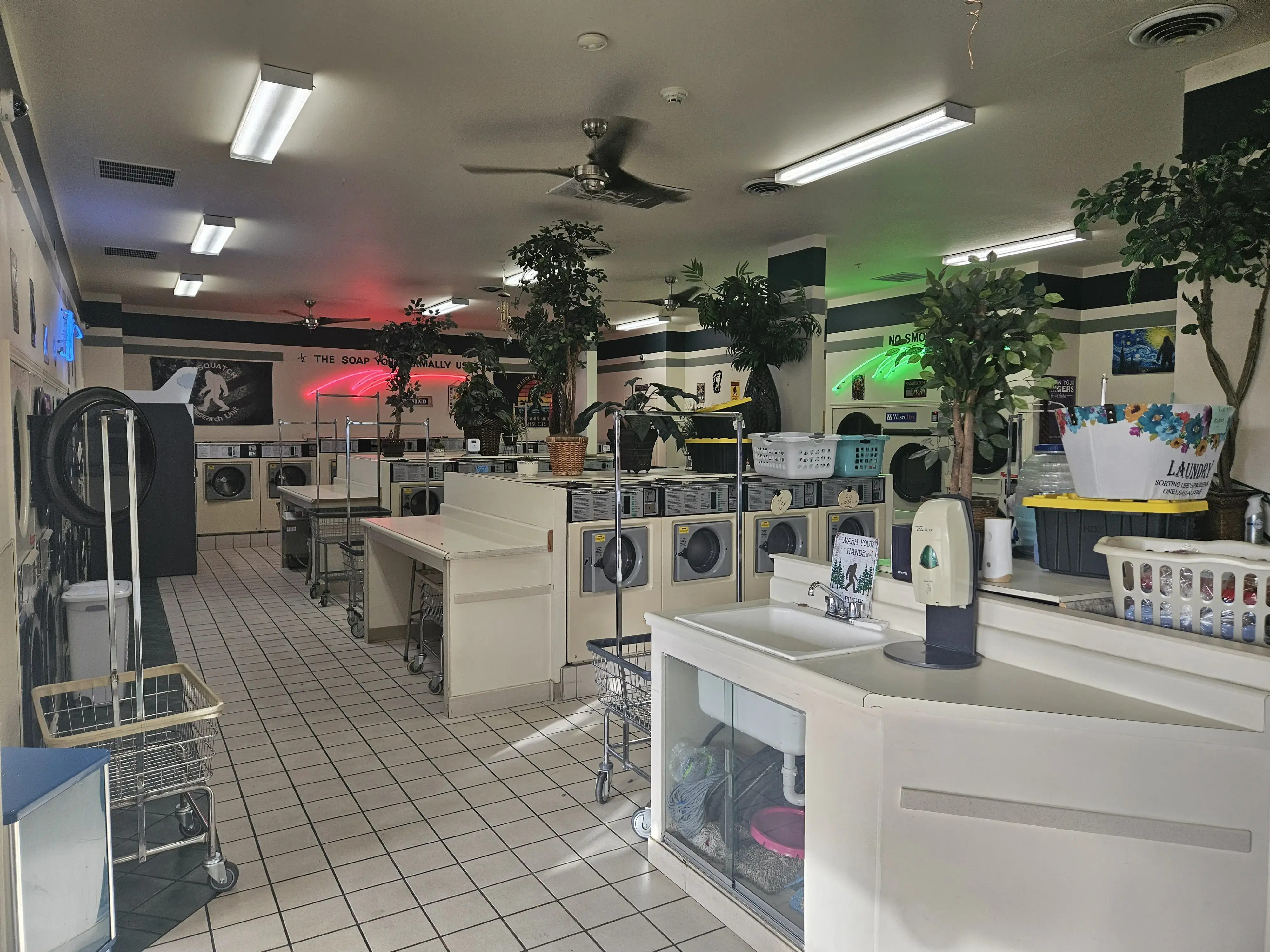 Clean-N-Dry Laundry Services - Image 3