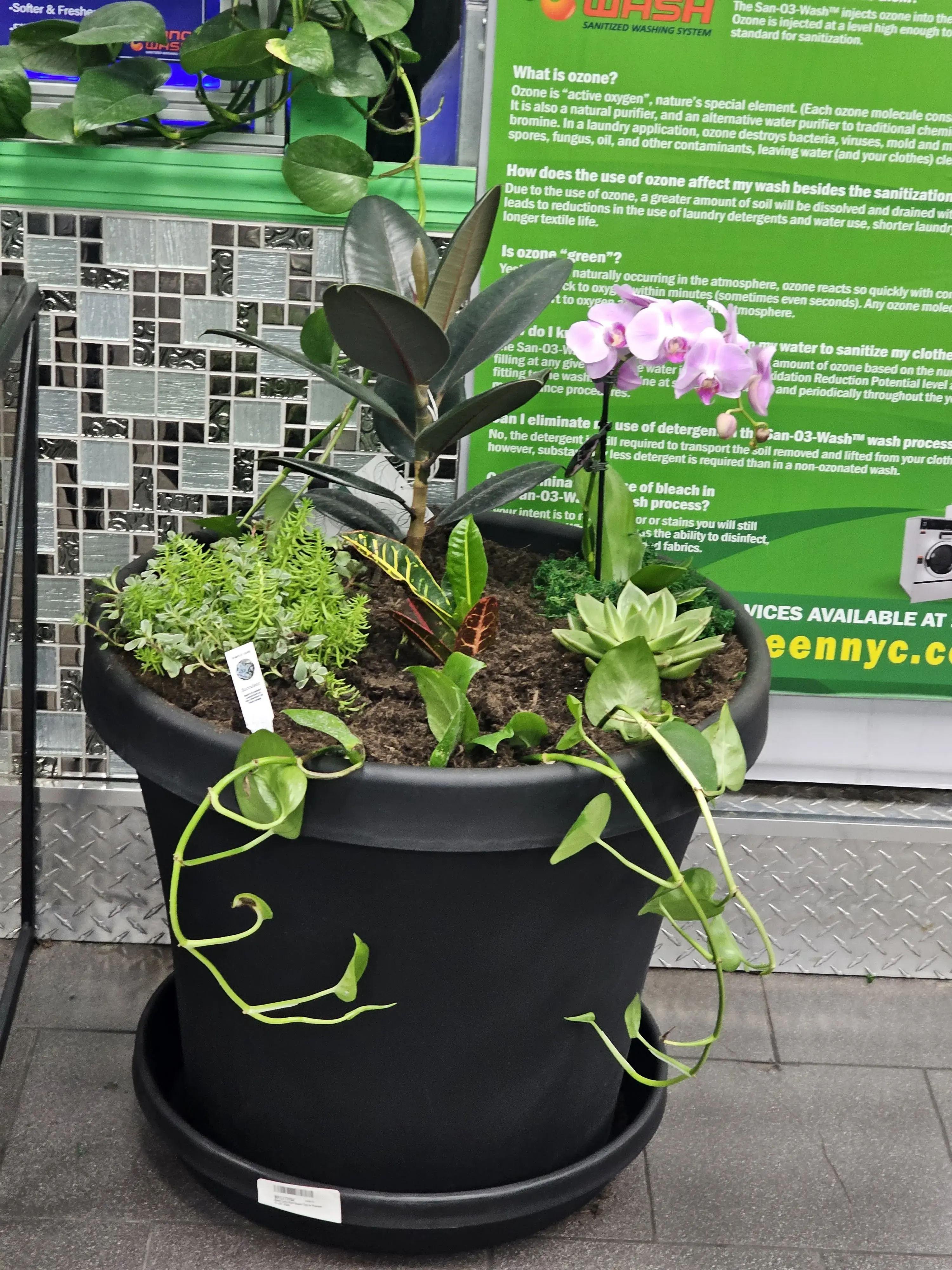 Clean n Green Laundromat - Image 6