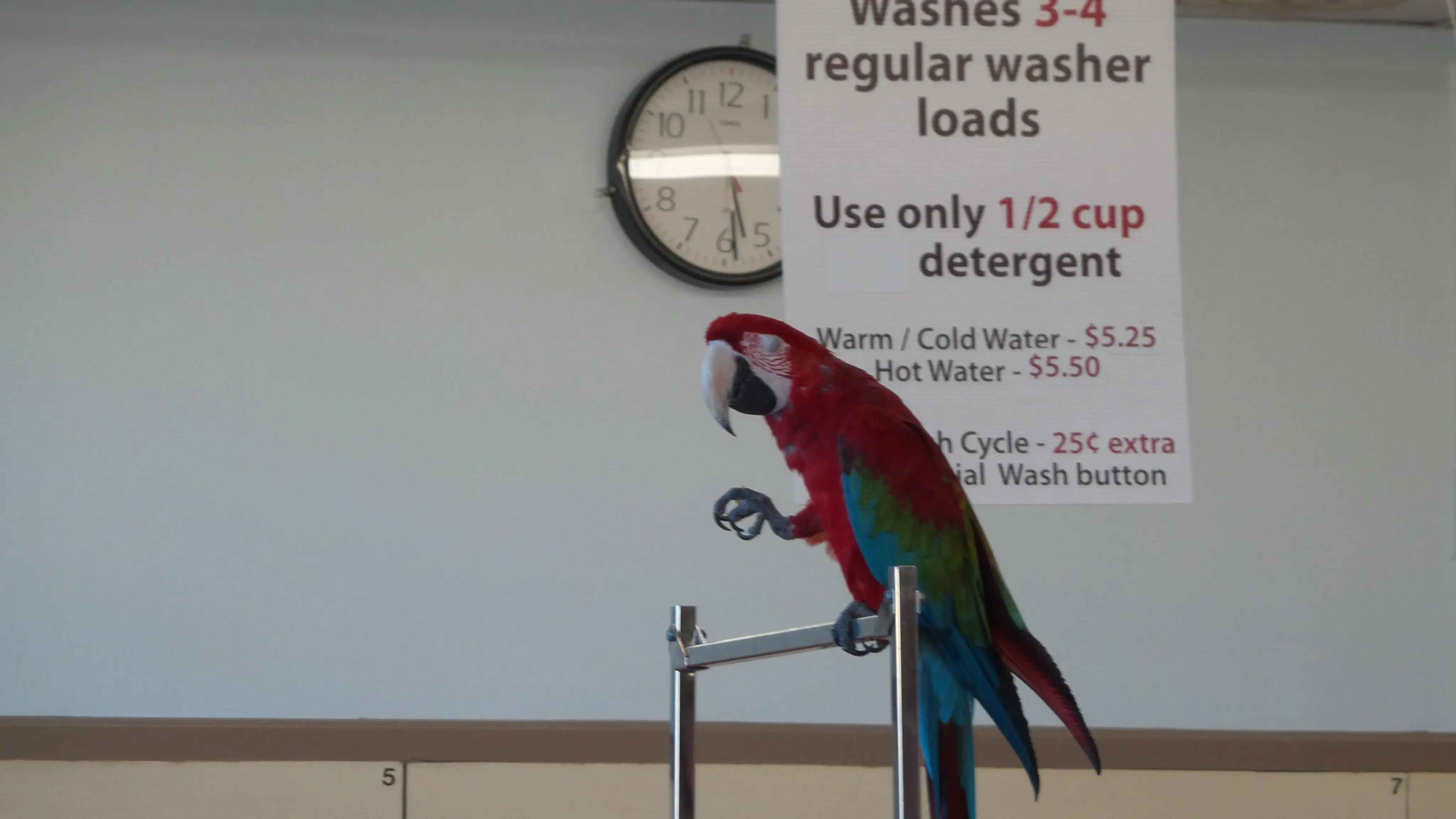 Clean Threads Super Laundry - Image 13