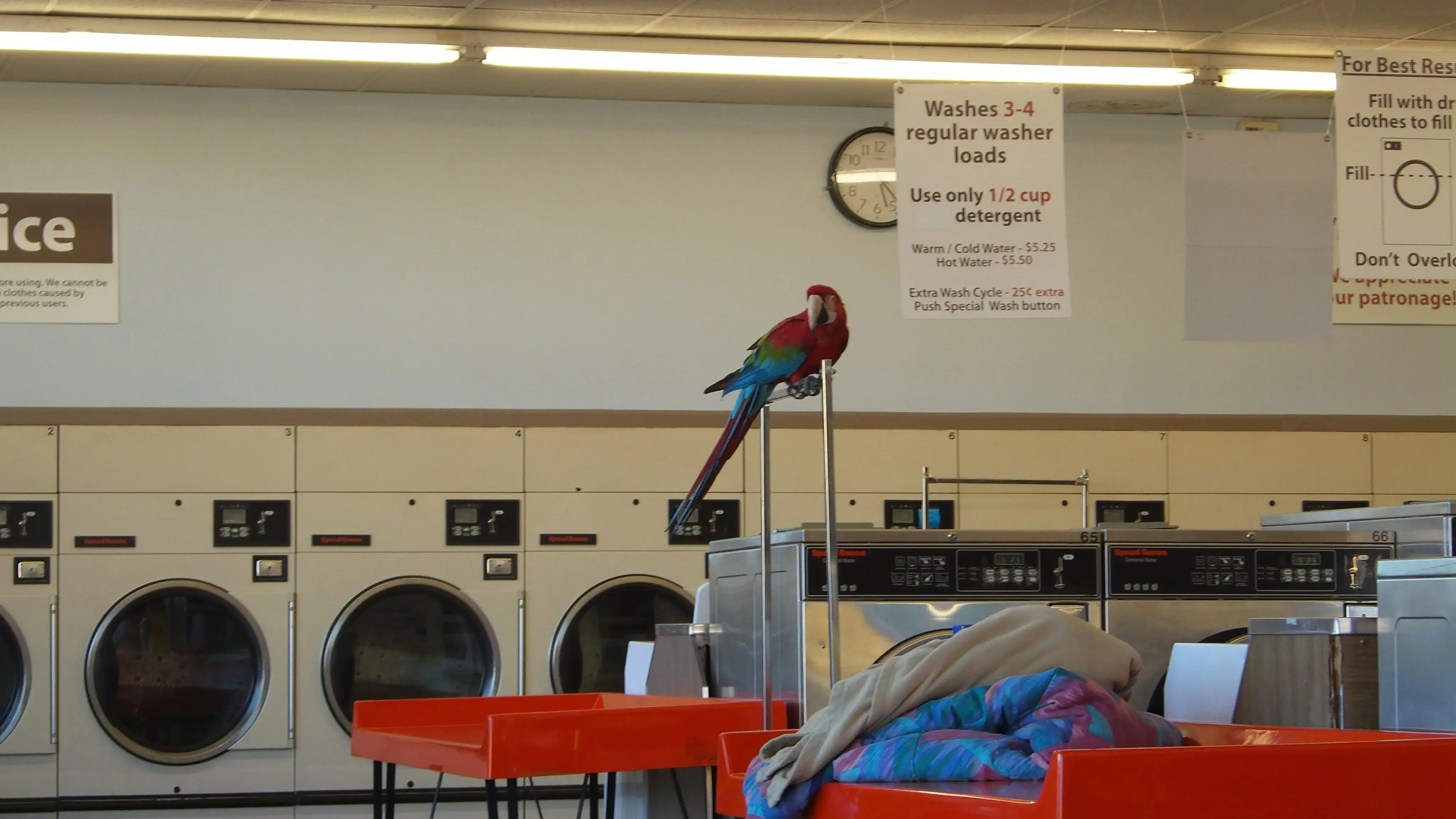 Clean Threads Super Laundry thumbnail 6