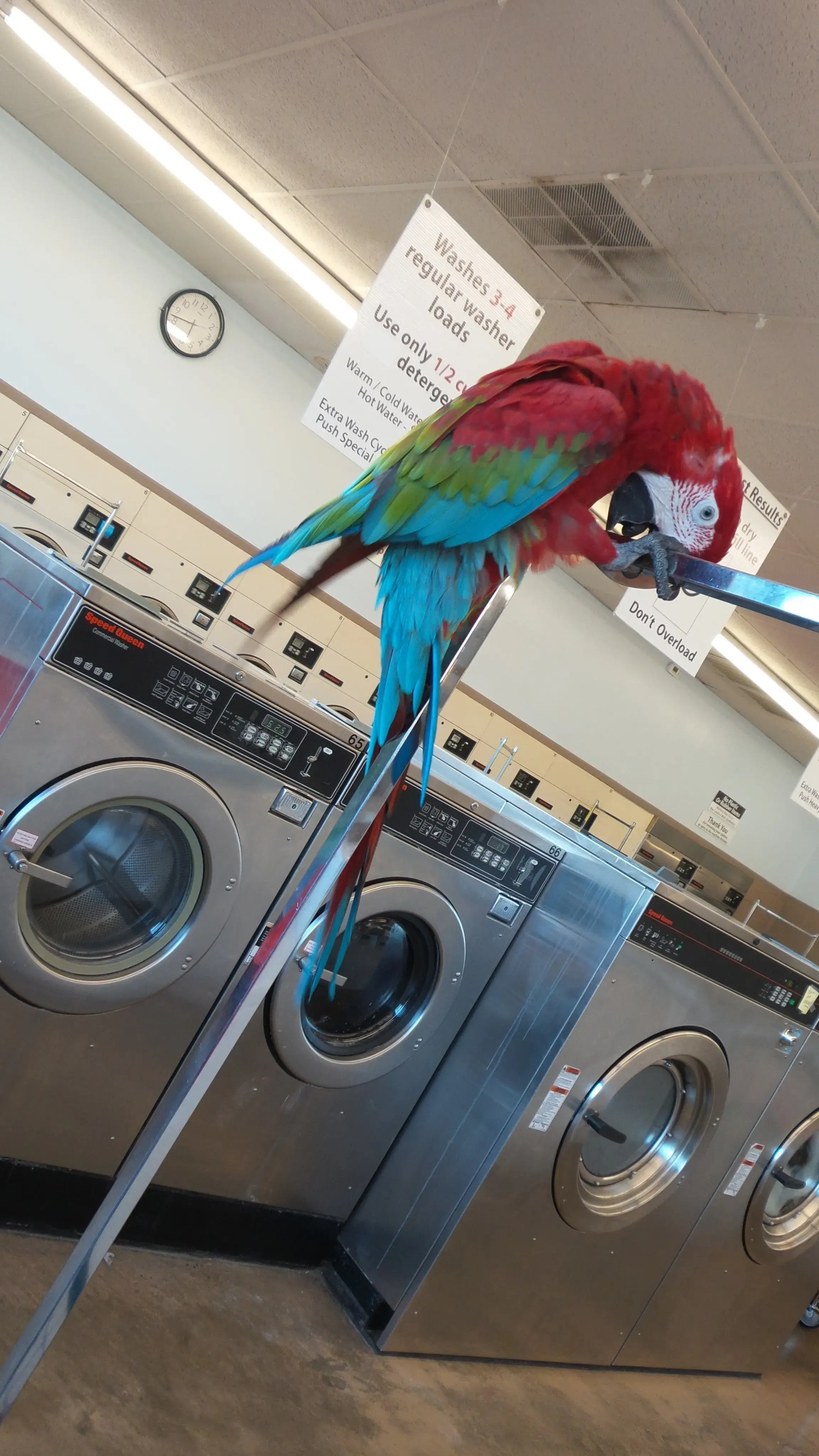 Clean Threads Super Laundry thumbnail 11