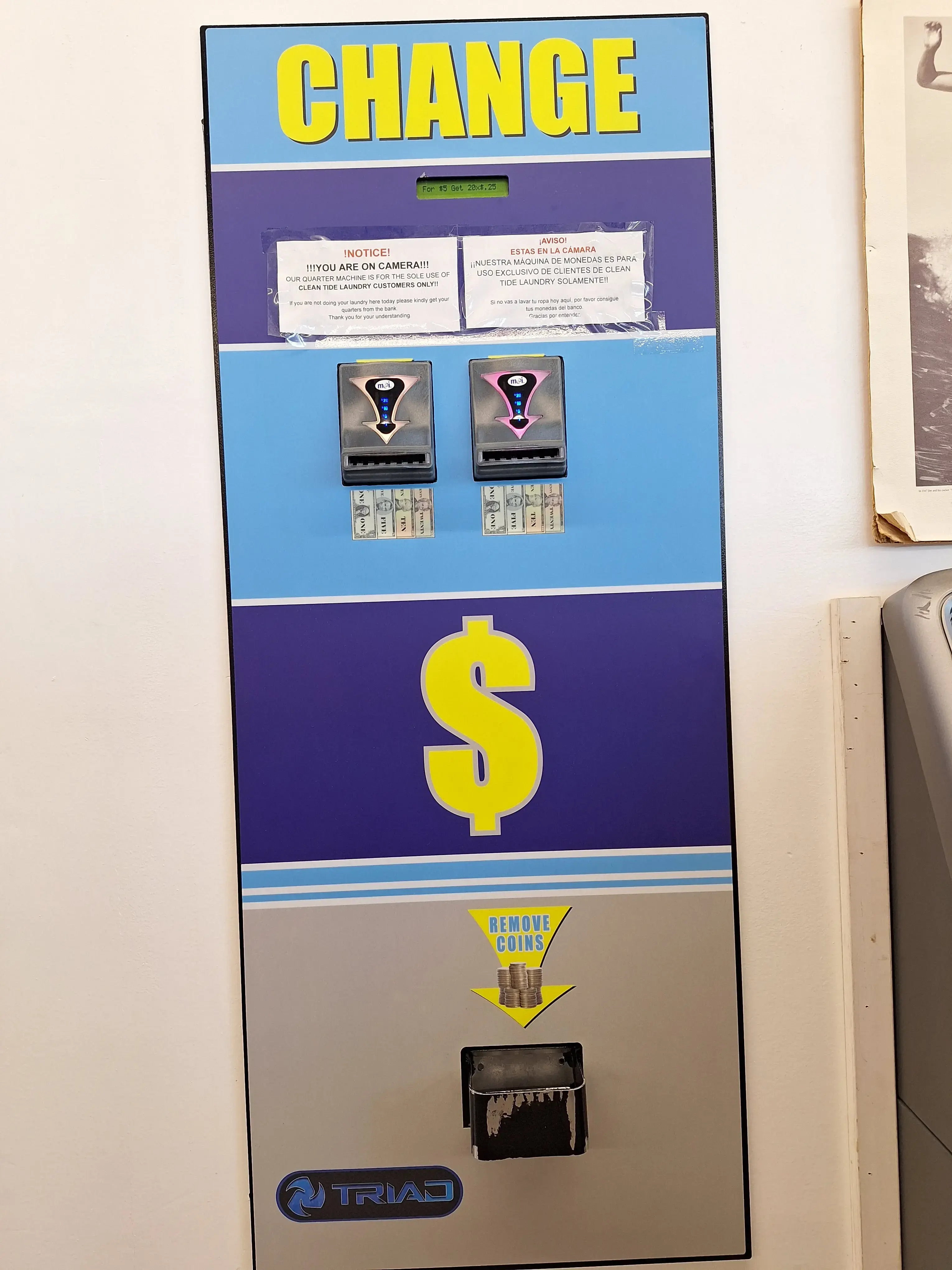 Clean Tide Laundromat - Image 7