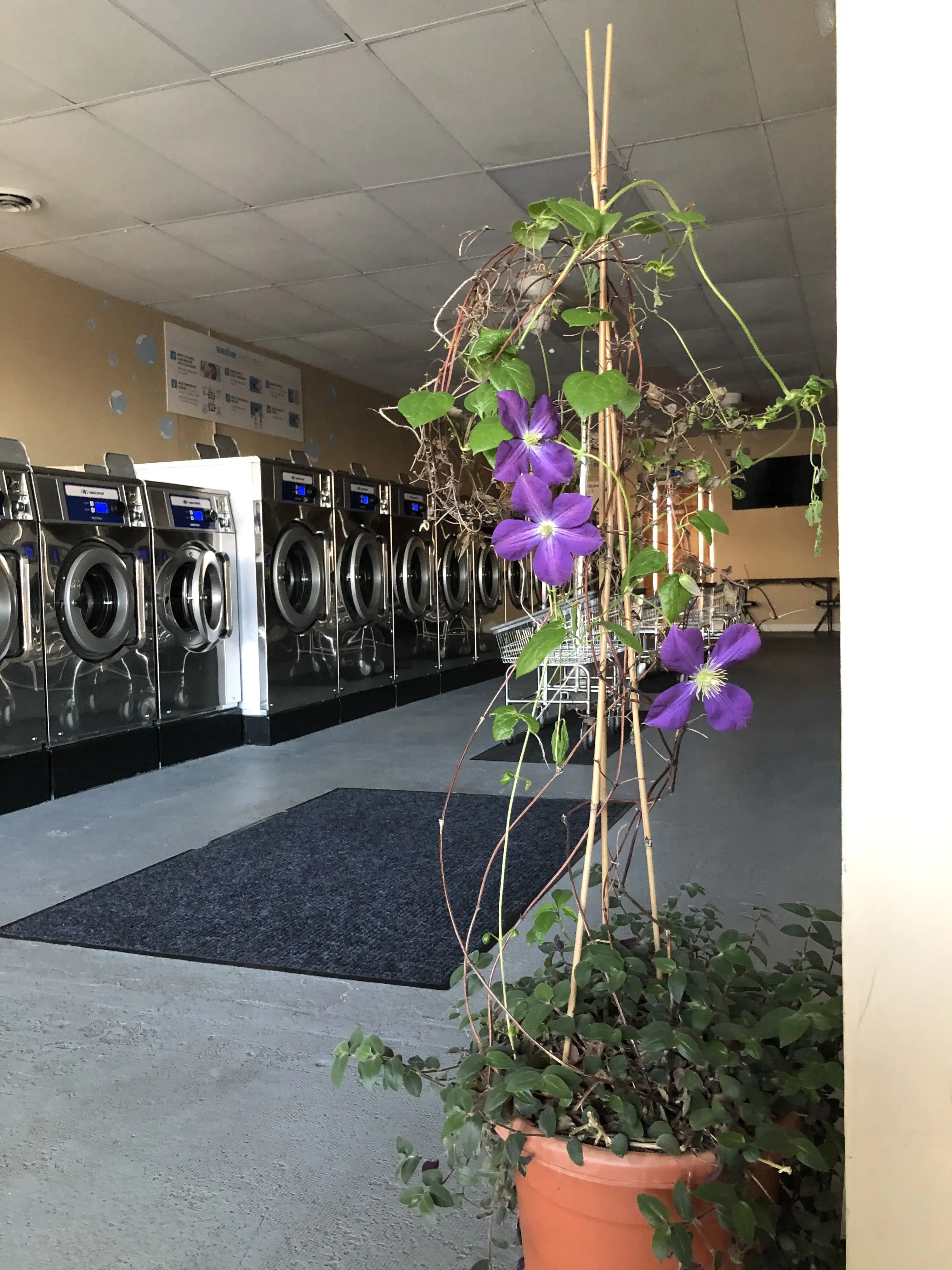 Clean Wave Laundromat - Image 6