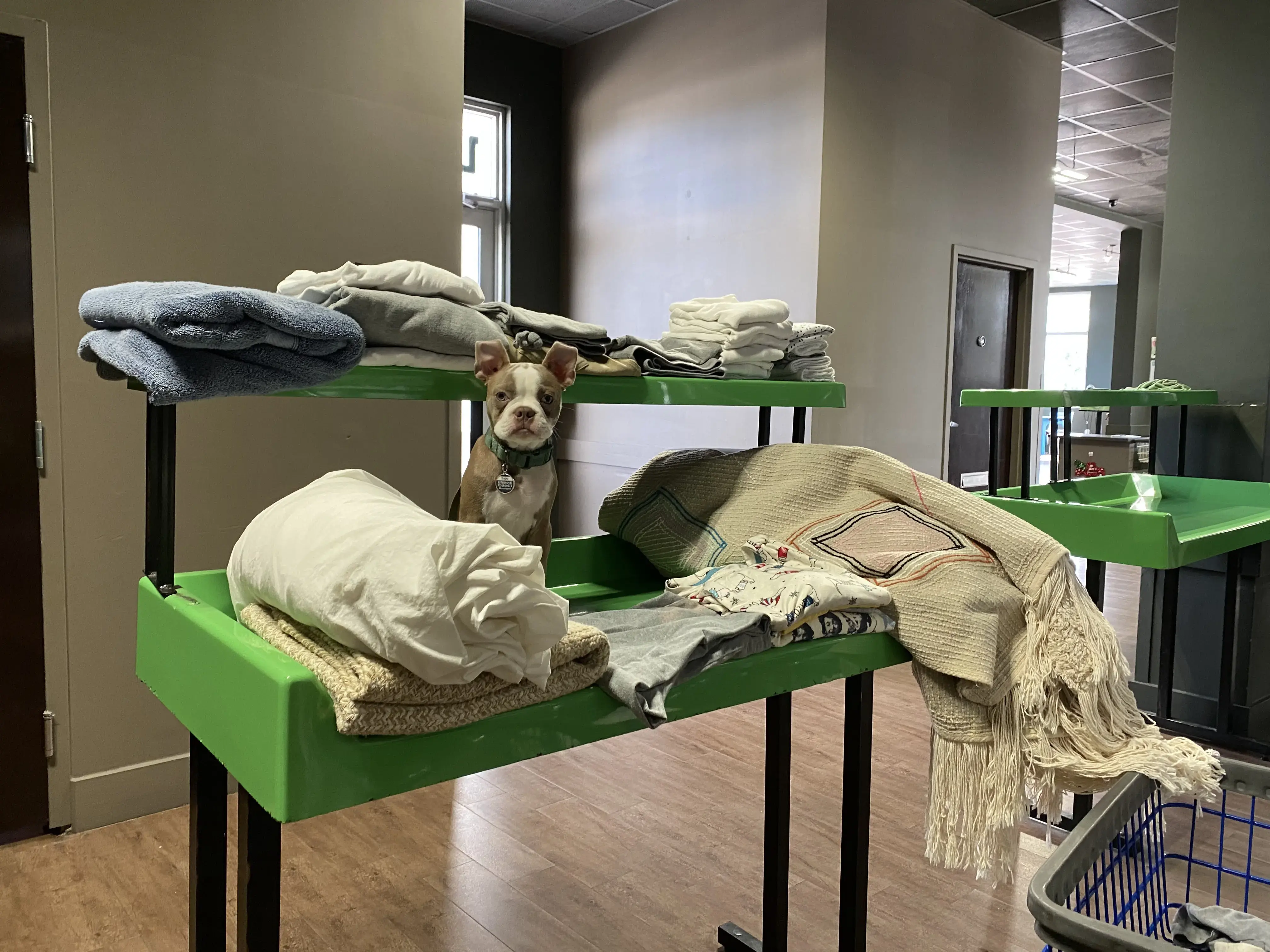 Clean Wave Laundry - Image 16