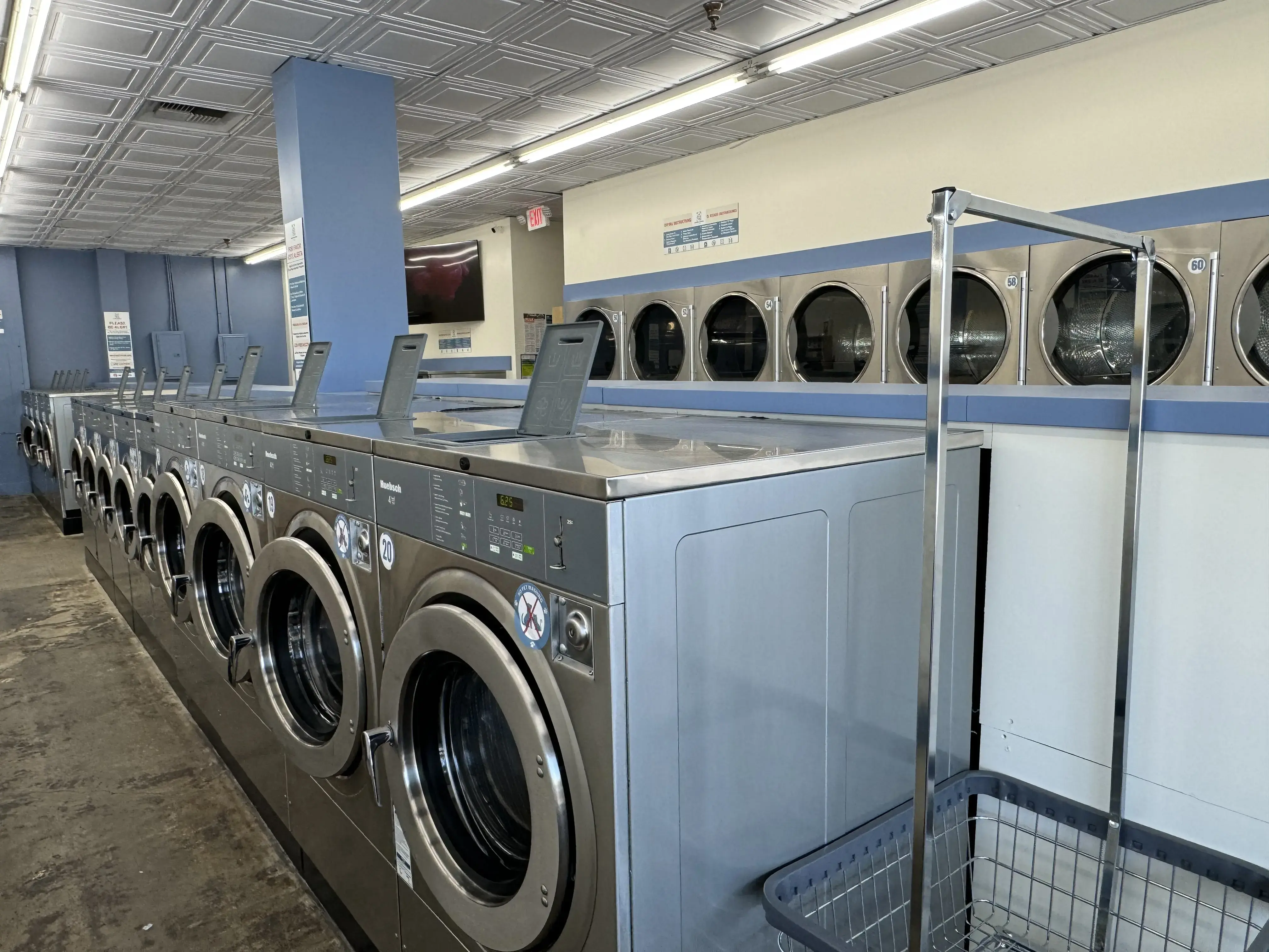 Cleanse and Renewal Laundry thumbnail 6