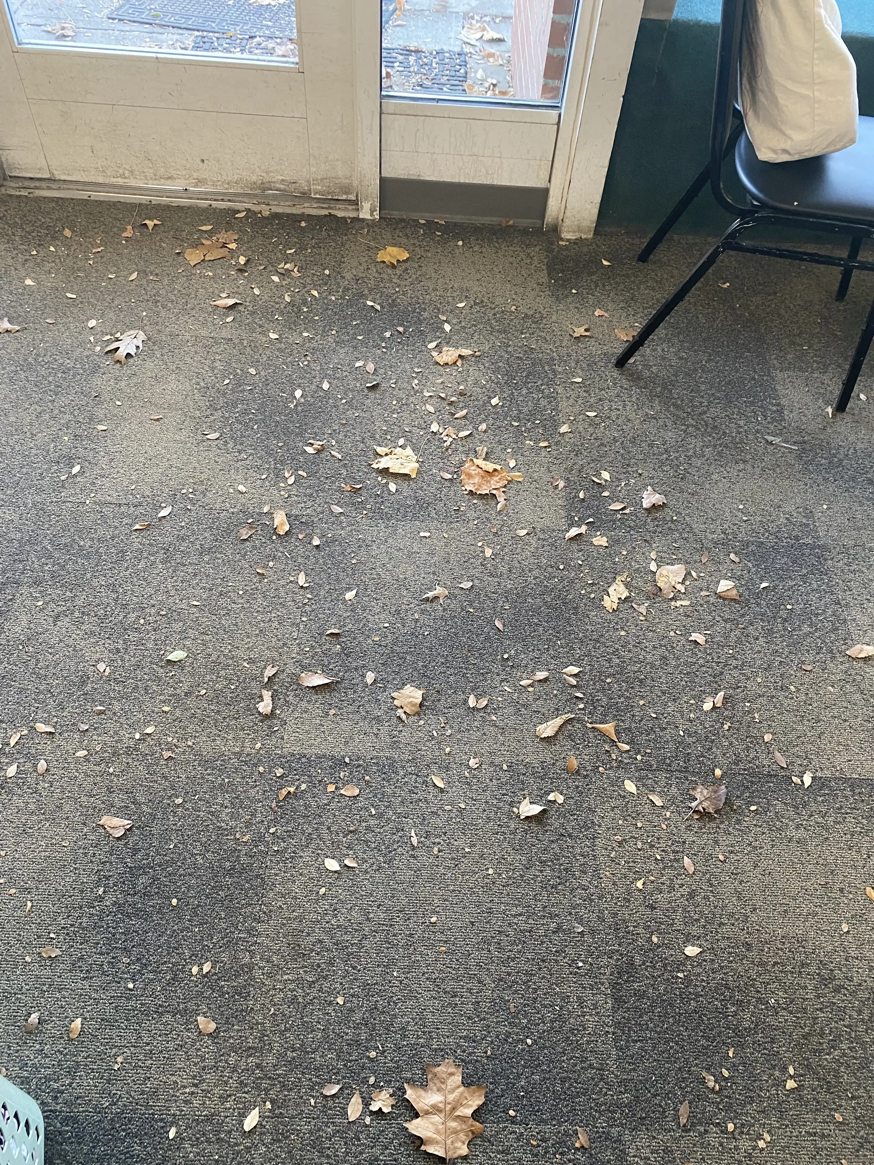 Clintonville Coin Laundry - Image 14