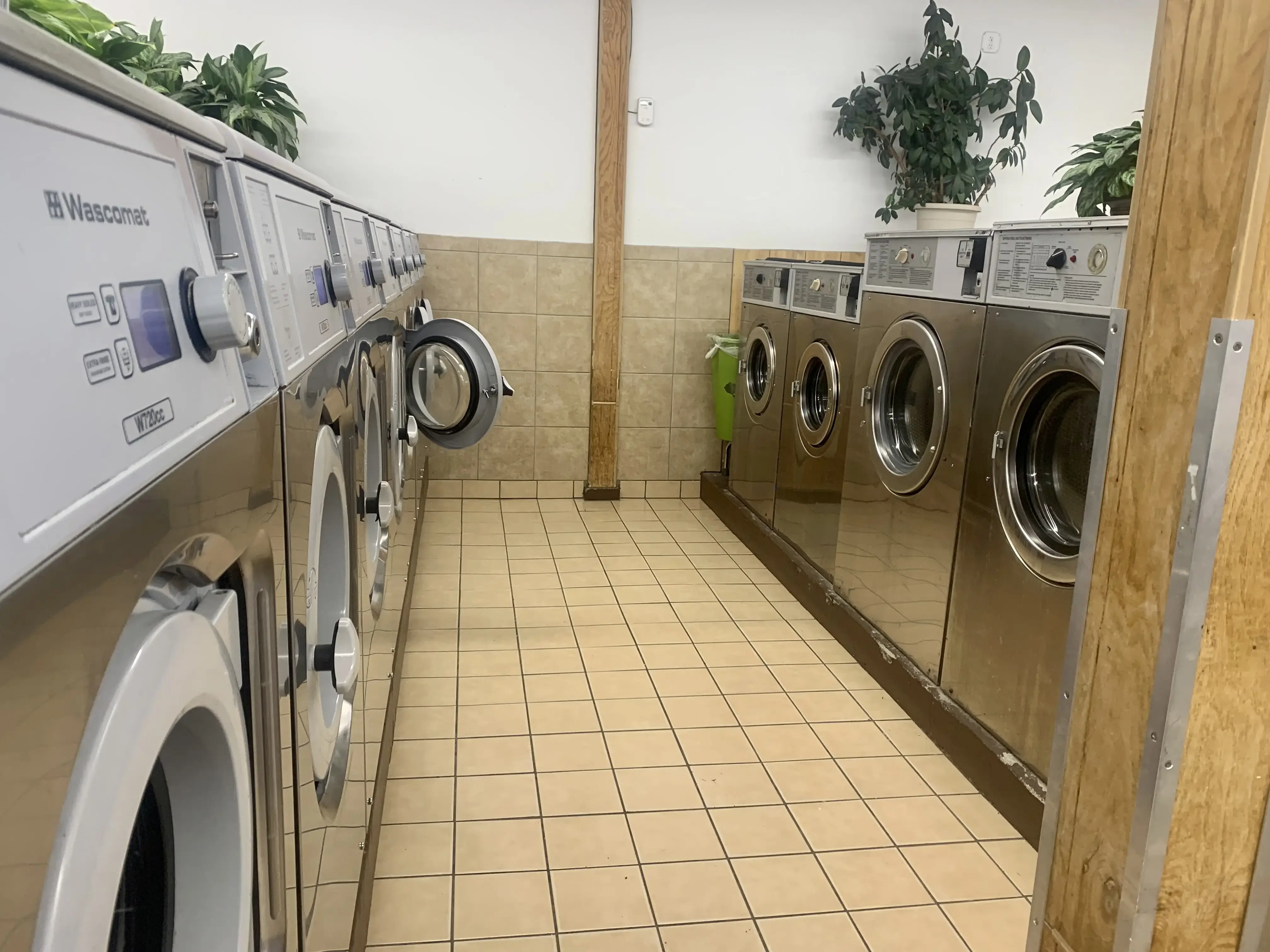 Clothes Pin - Image 5